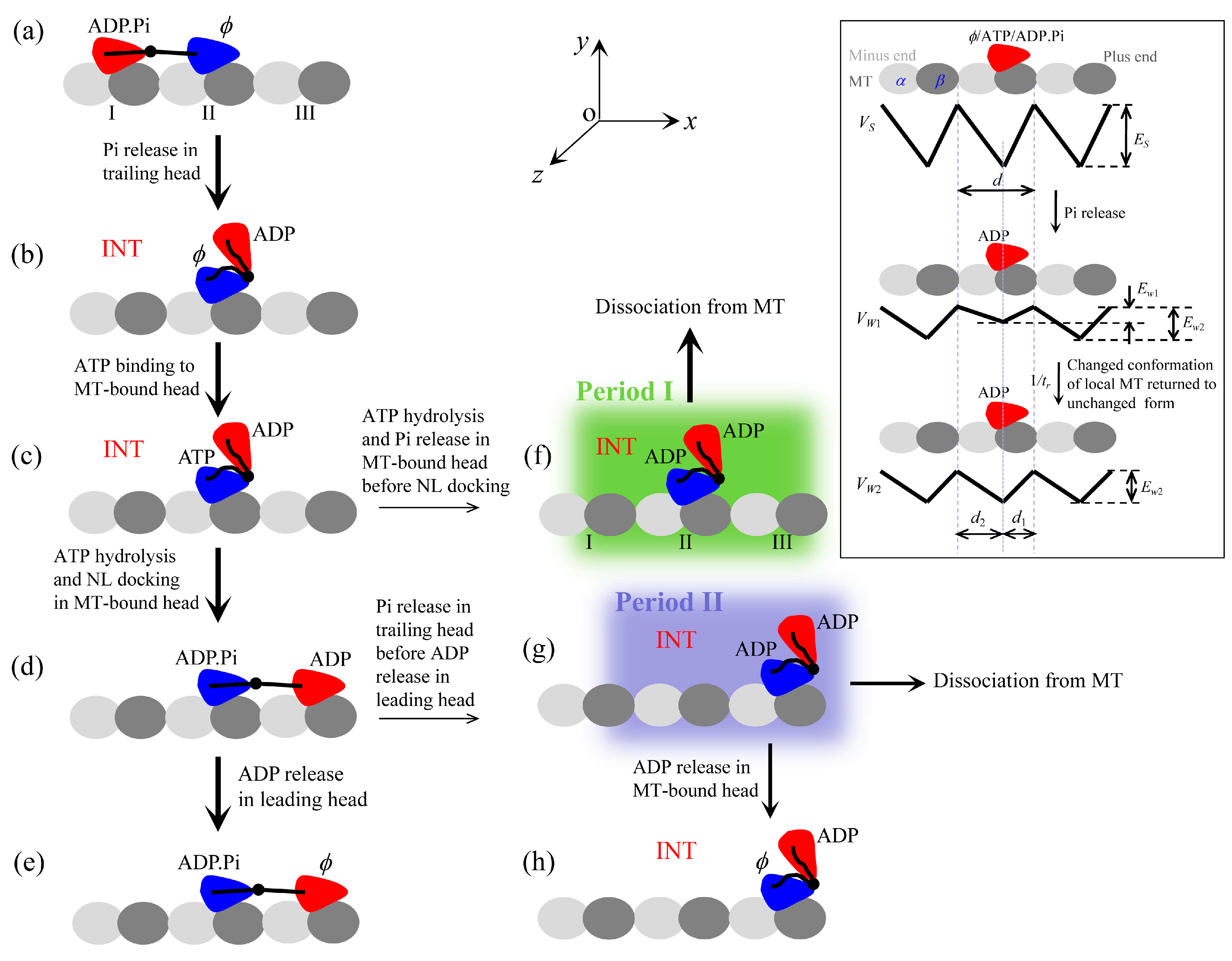 Molecules 24 00287 g001 Molecules 24 00287 g001