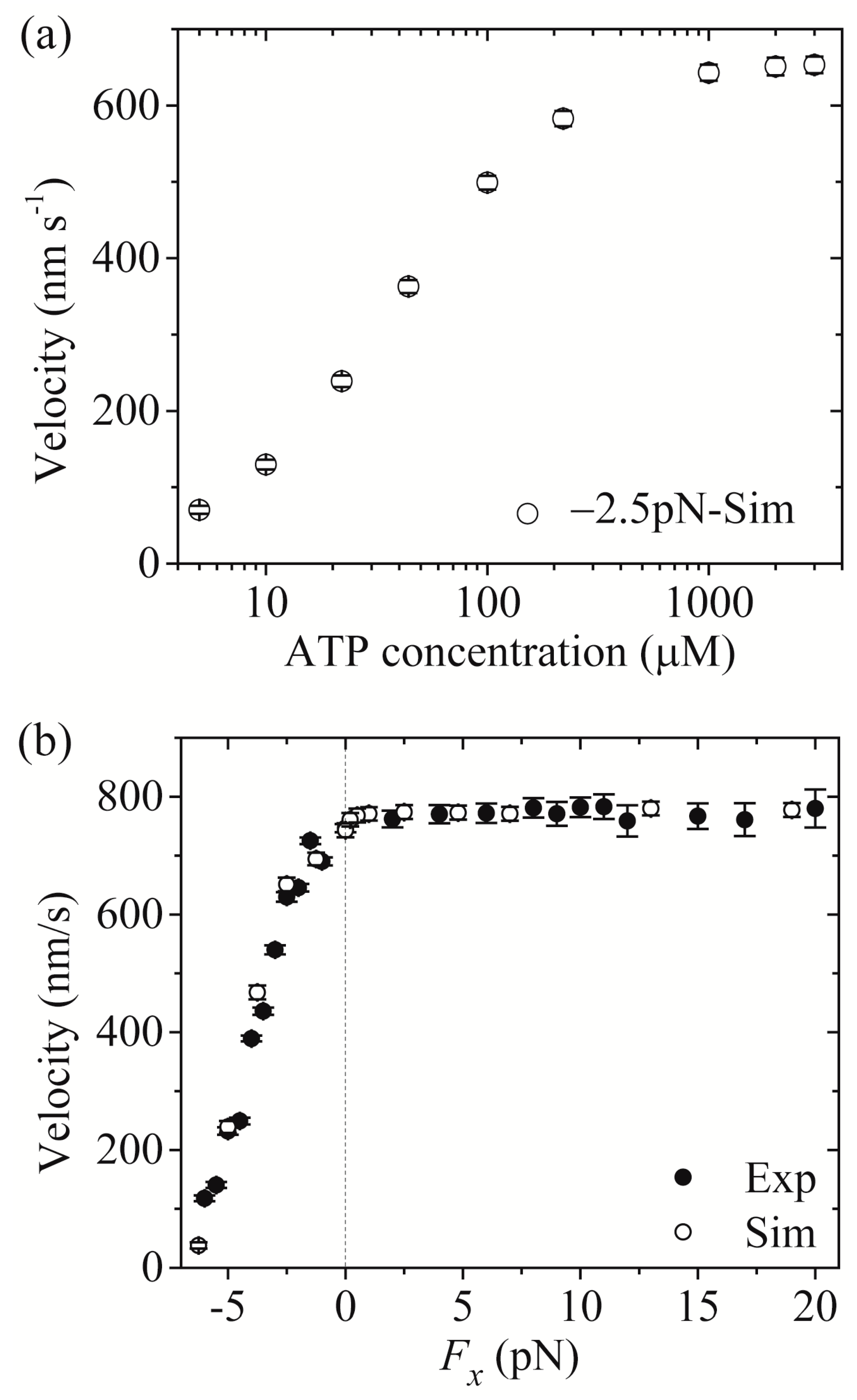 Molecules 24 00287 g004 Molecules 24 00287 g004