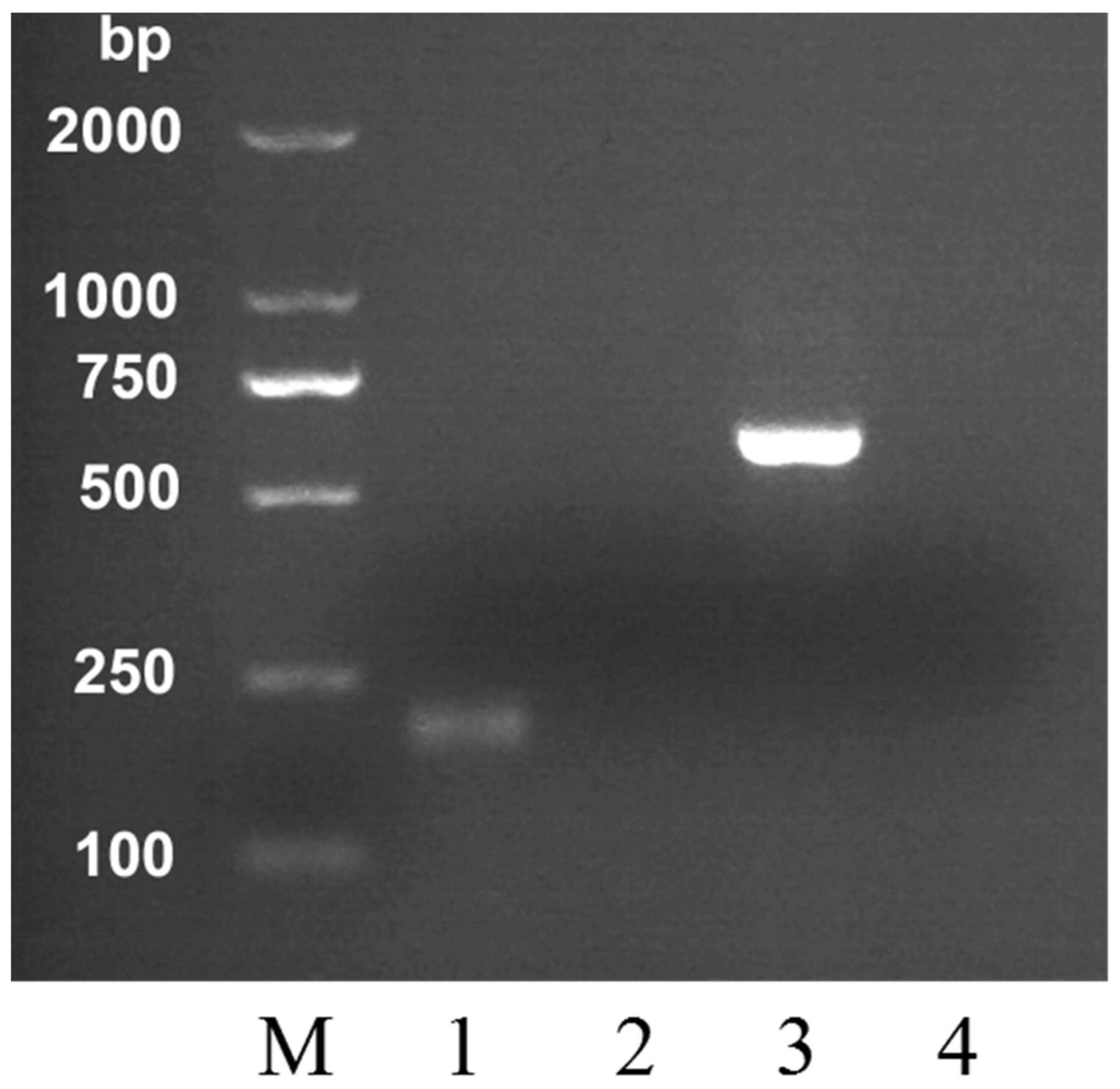 Molecules 24 00289 g001