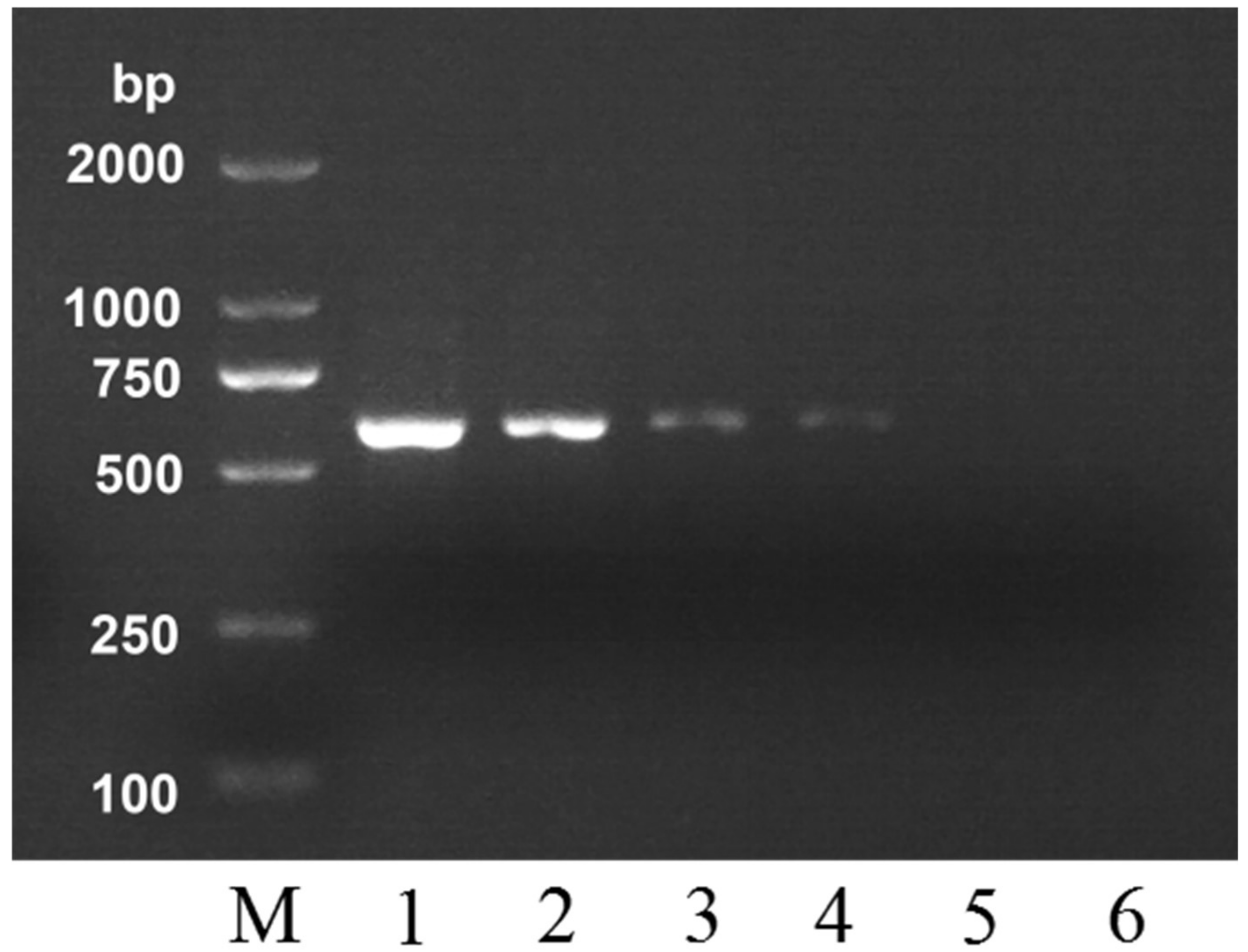 Molecules 24 00289 g002