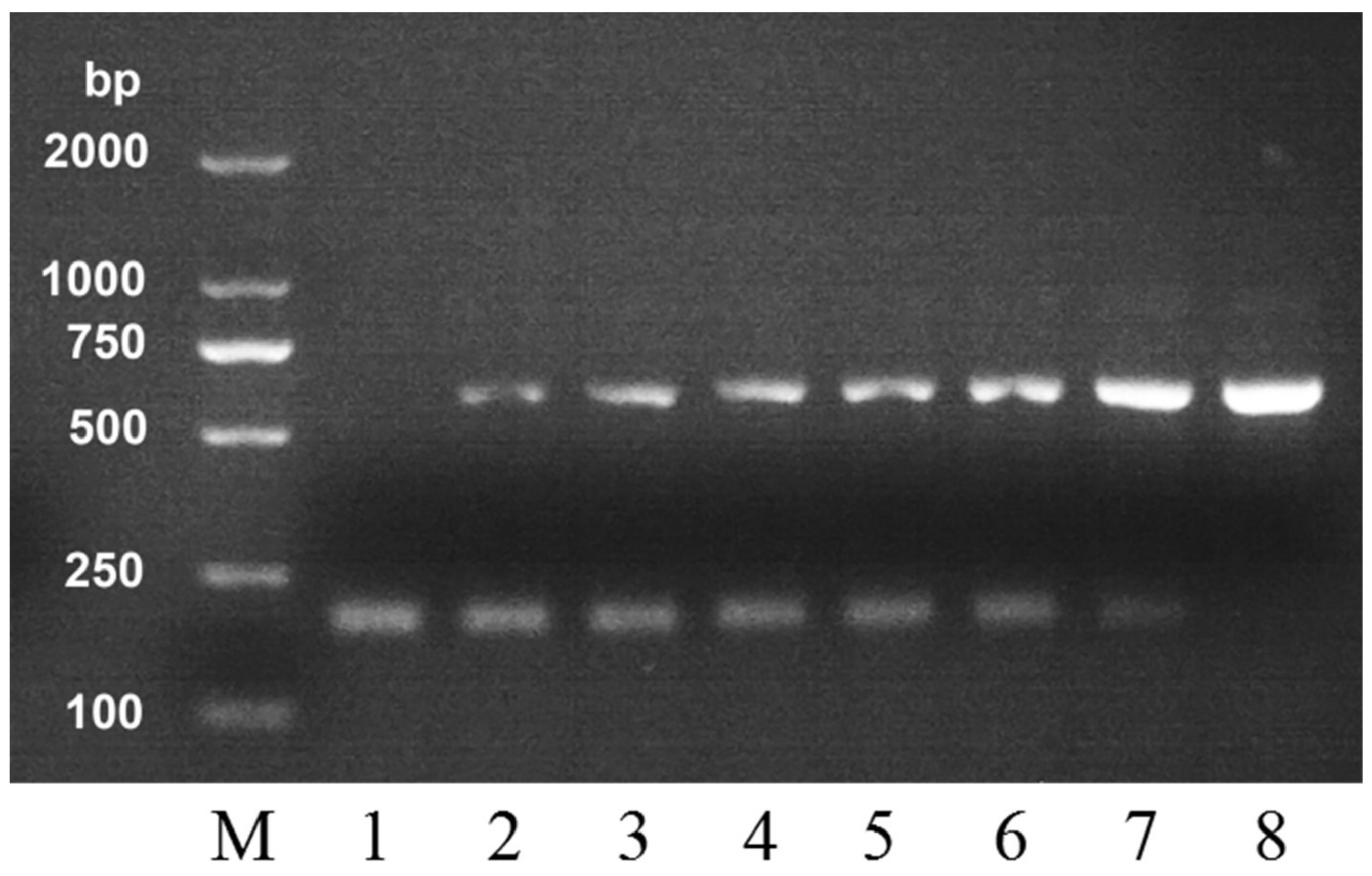 Molecules 24 00289 g003