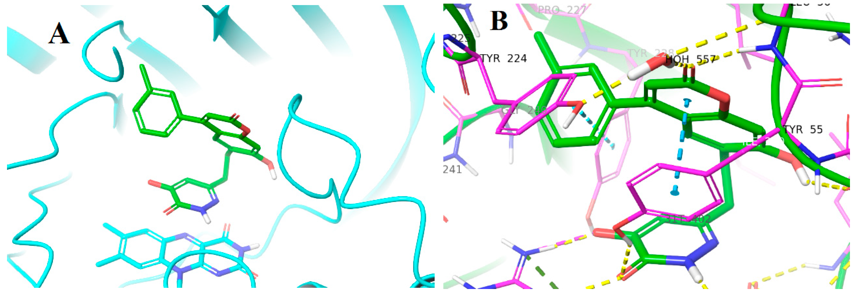 Molecules 24 00290 g004 Molecules 24 00290 g004