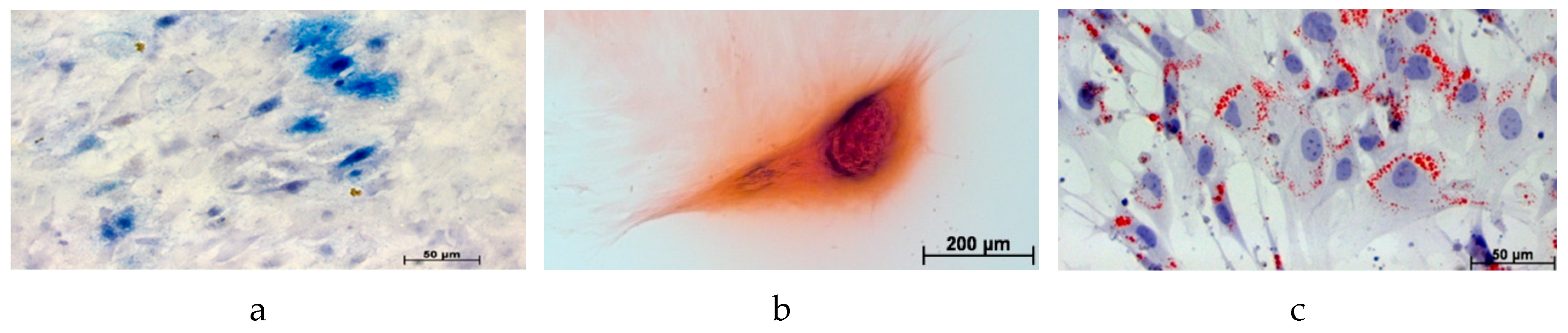Molecules 24 00295 g001