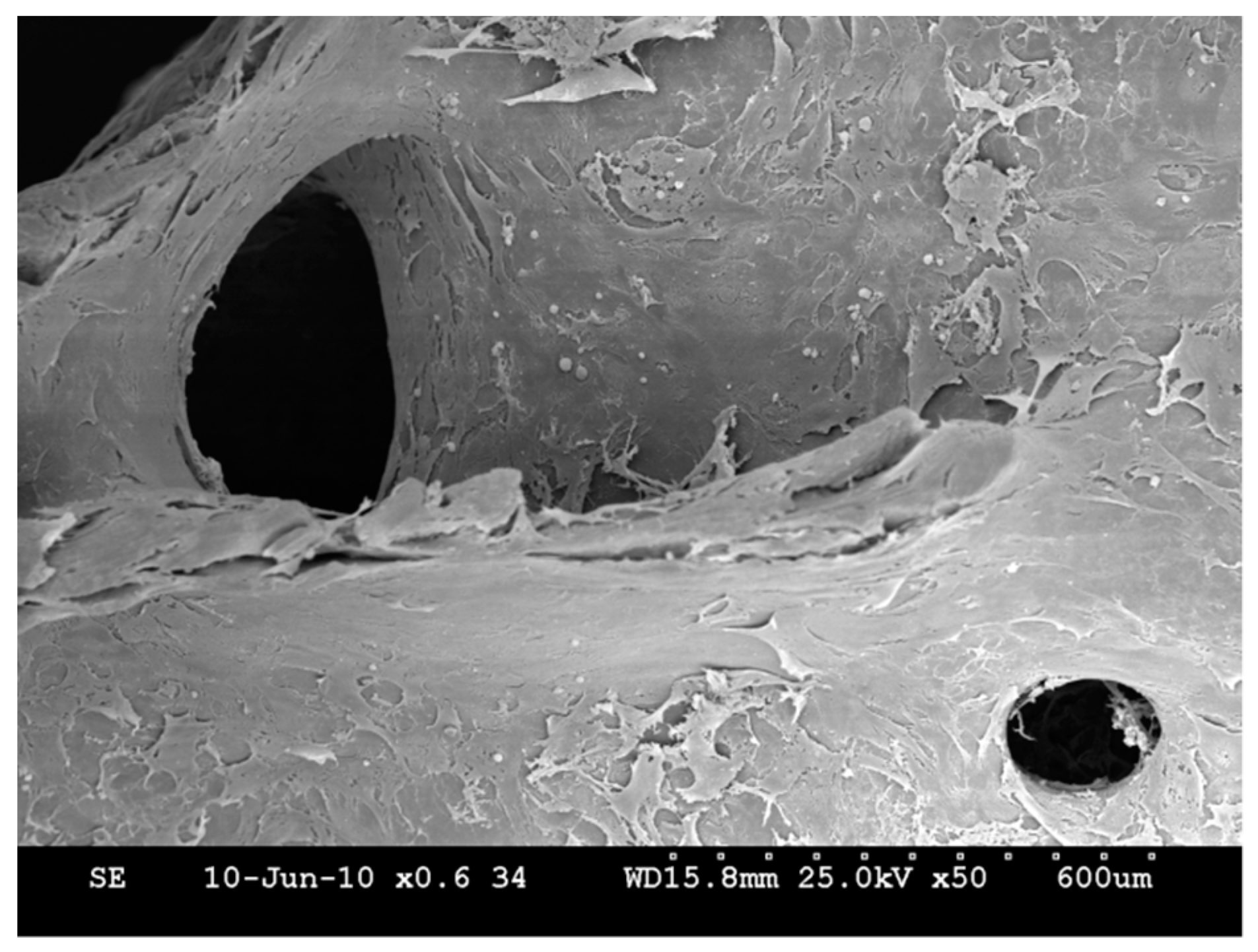 Molecules 24 00295 g002