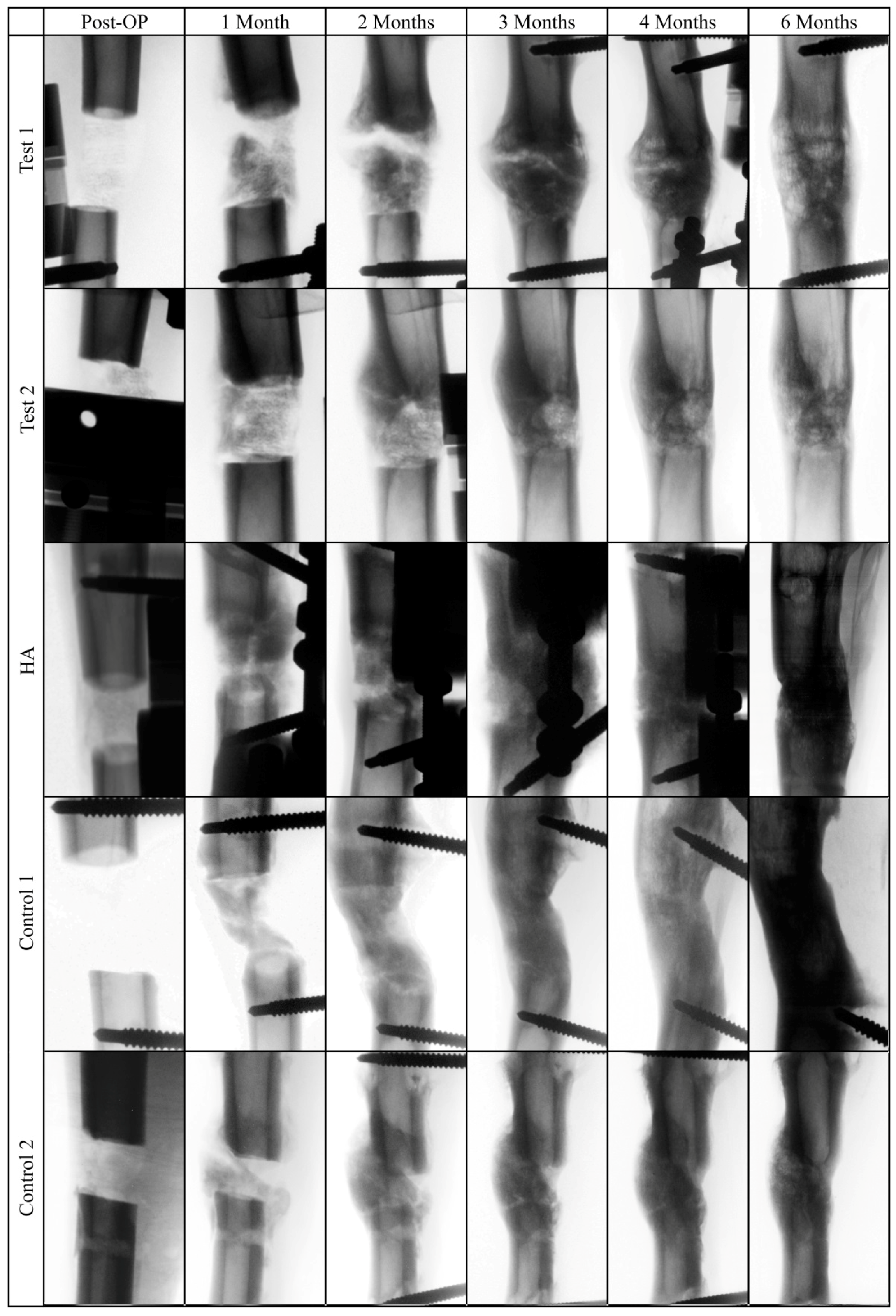 Molecules 24 00295 g004