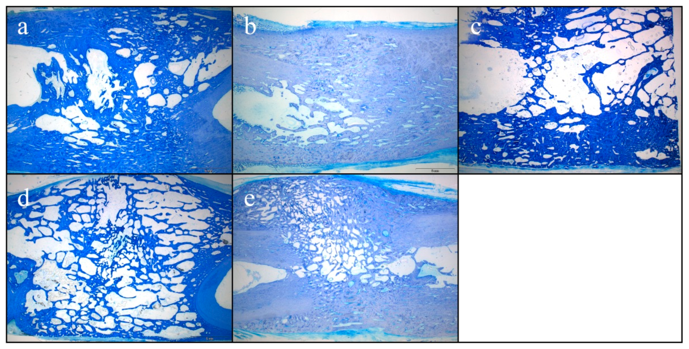 Molecules 24 00295 g005