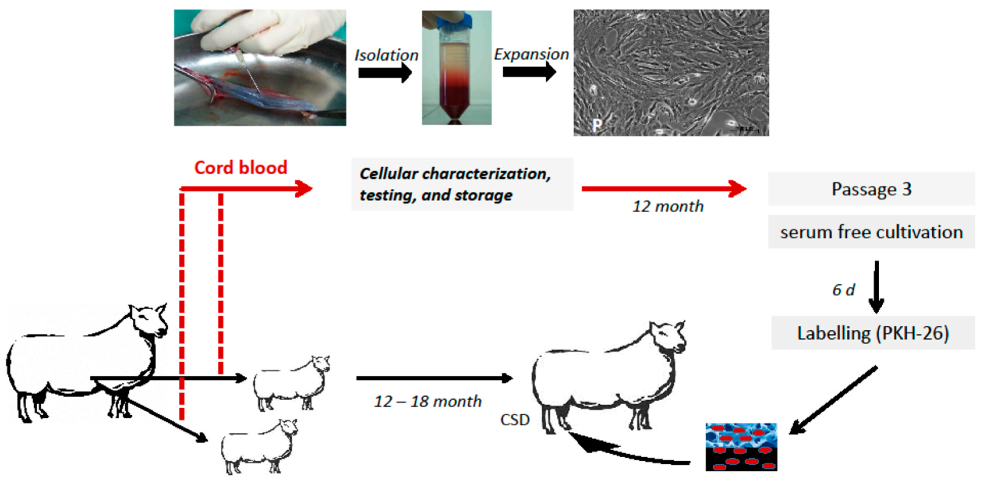 Molecules 24 00295 g007