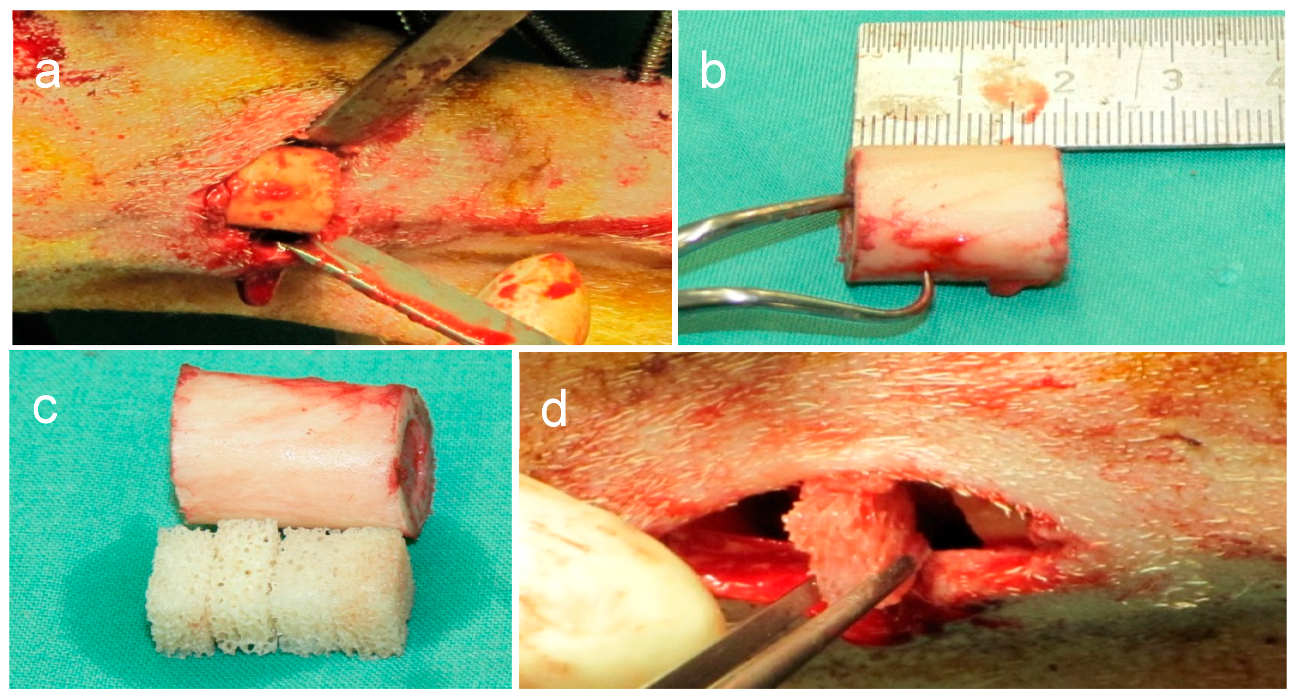 Molecules 24 00295 g008