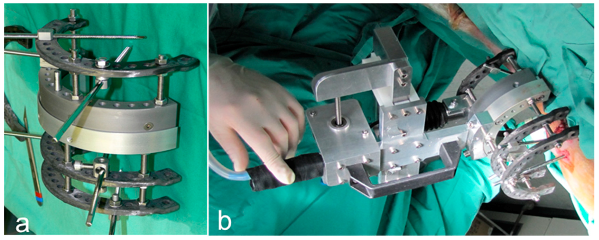 Molecules 24 00295 g009