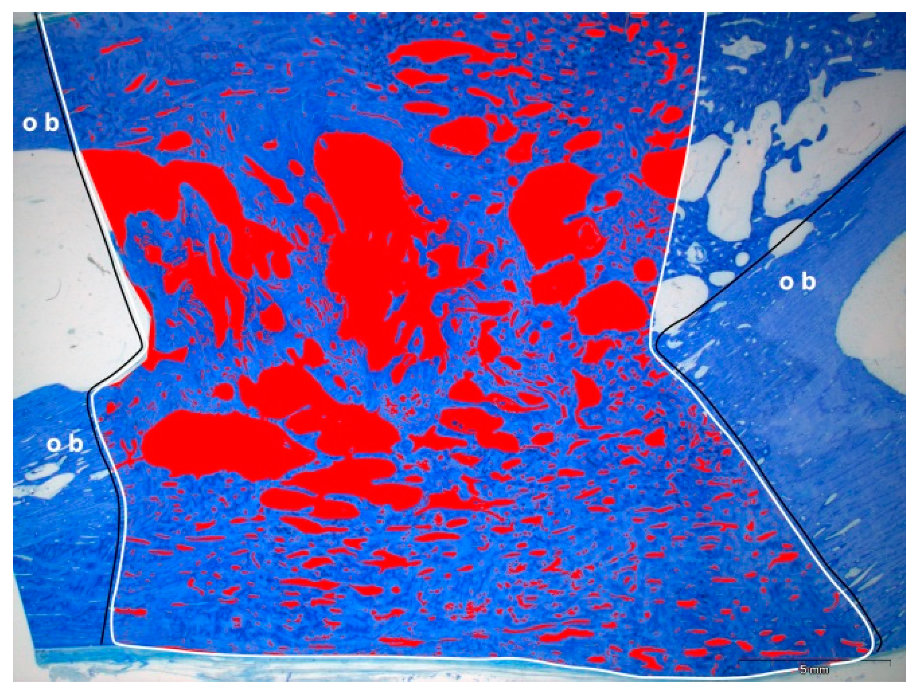 Molecules 24 00295 g010