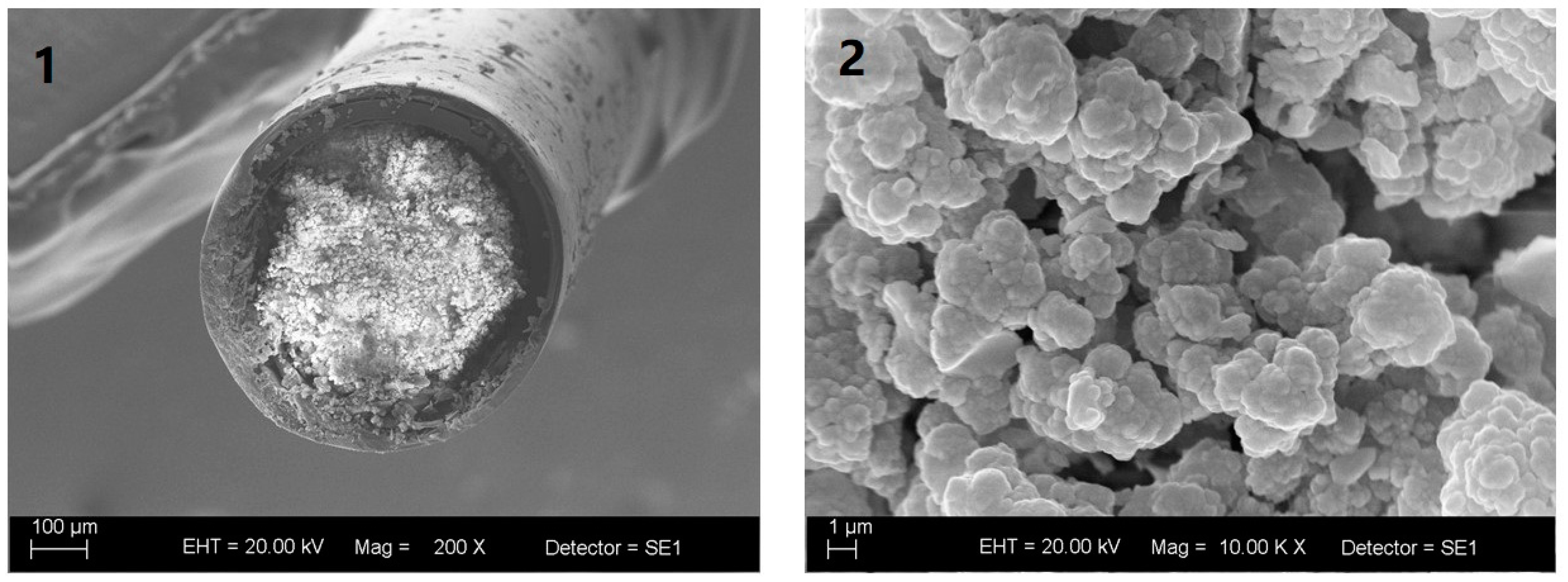 Molecules 24 00310 g003