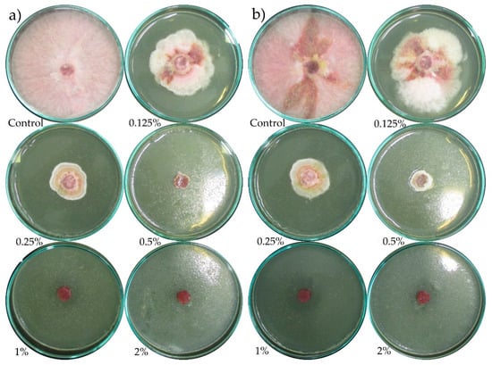 Molecules 24 00311 g0a8 550