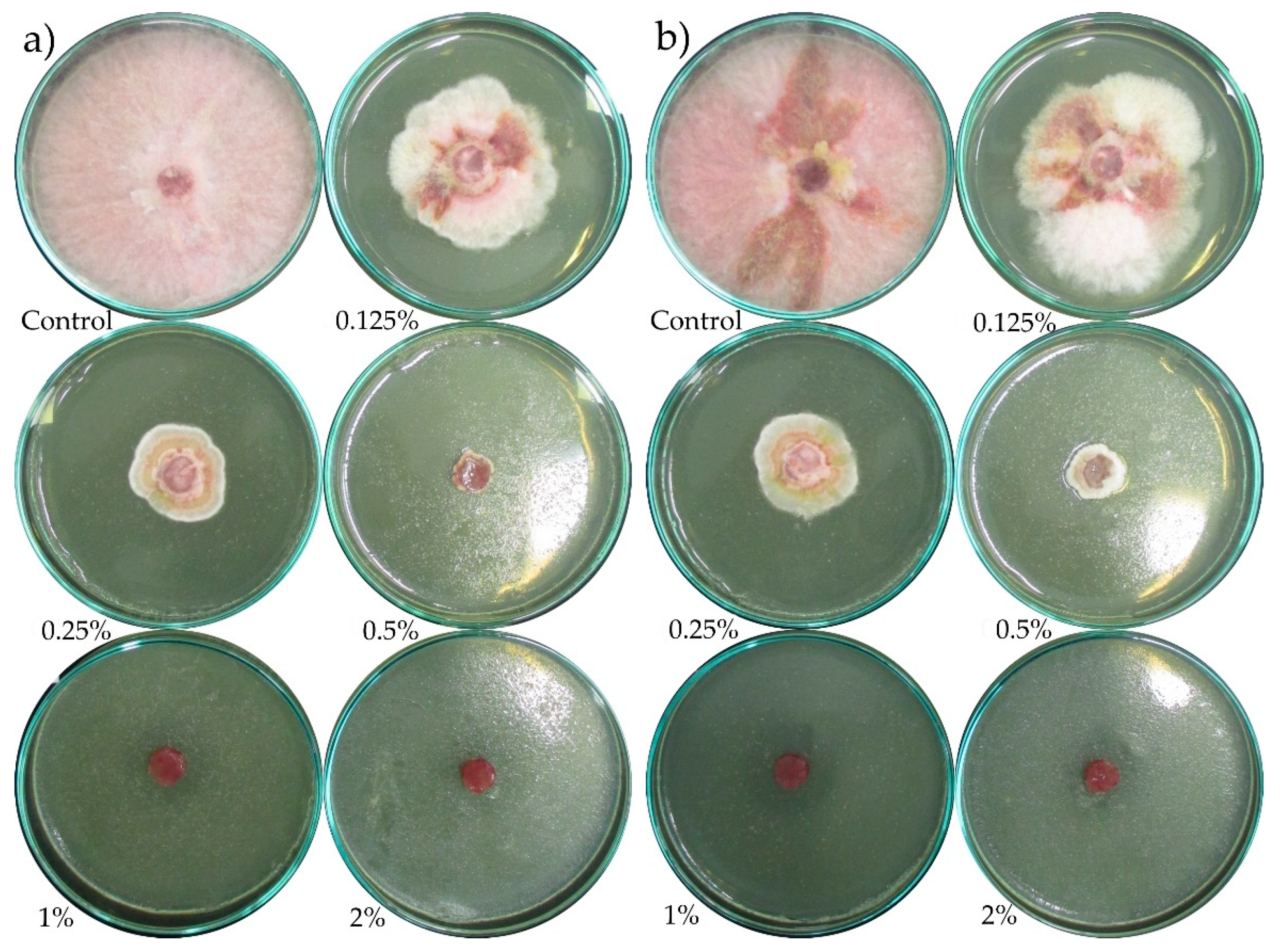 Molecules 24 00311 g0a8
