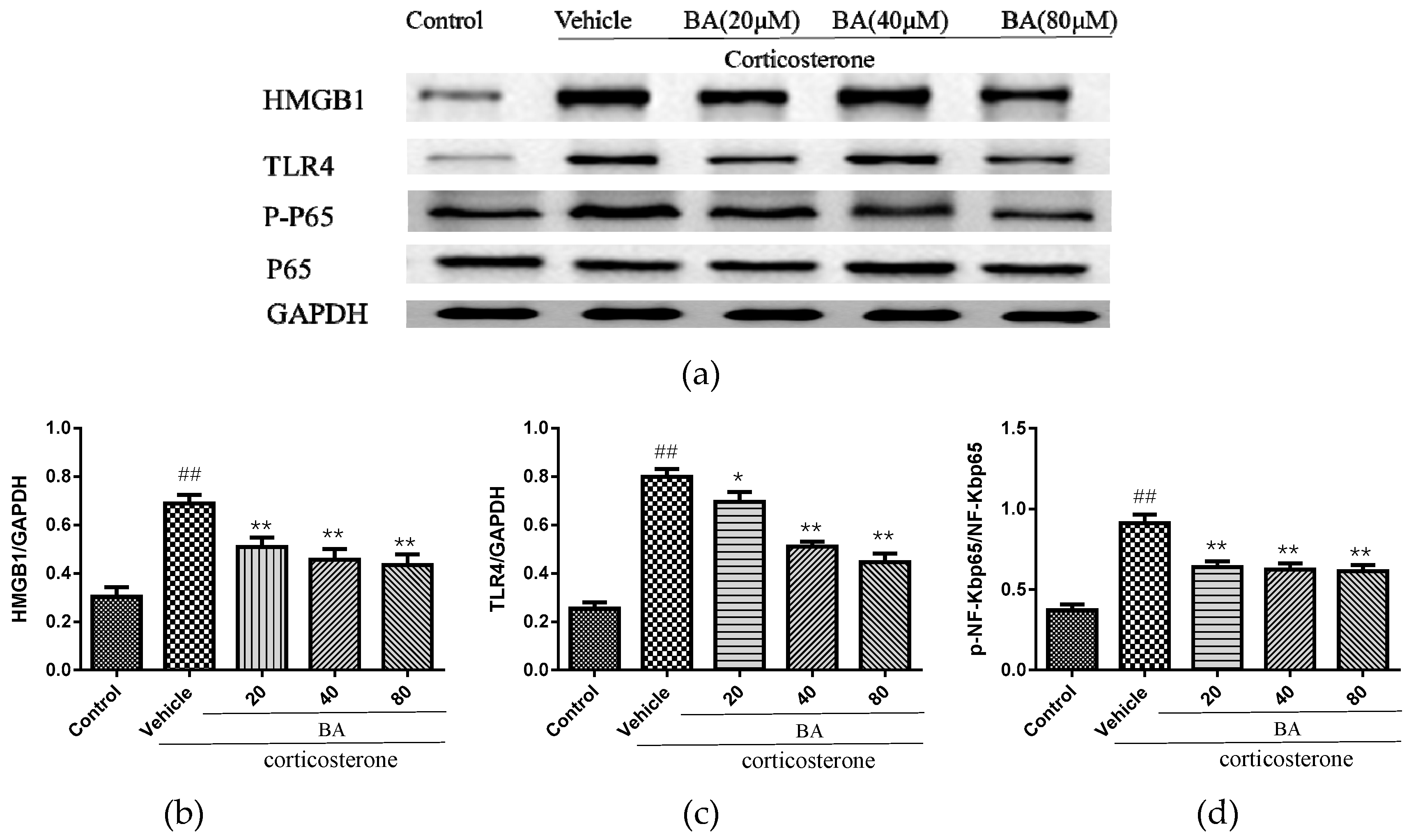 Molecules 24 00326 g009