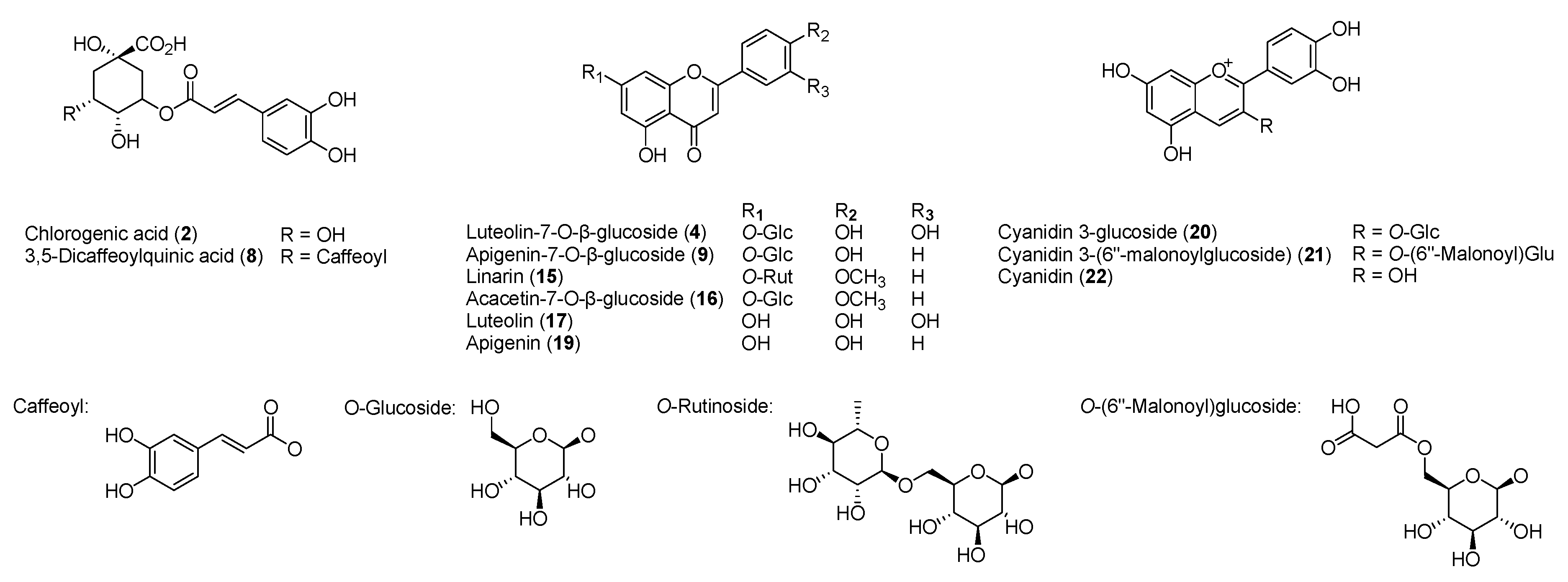 Molecules 24 00329 g004