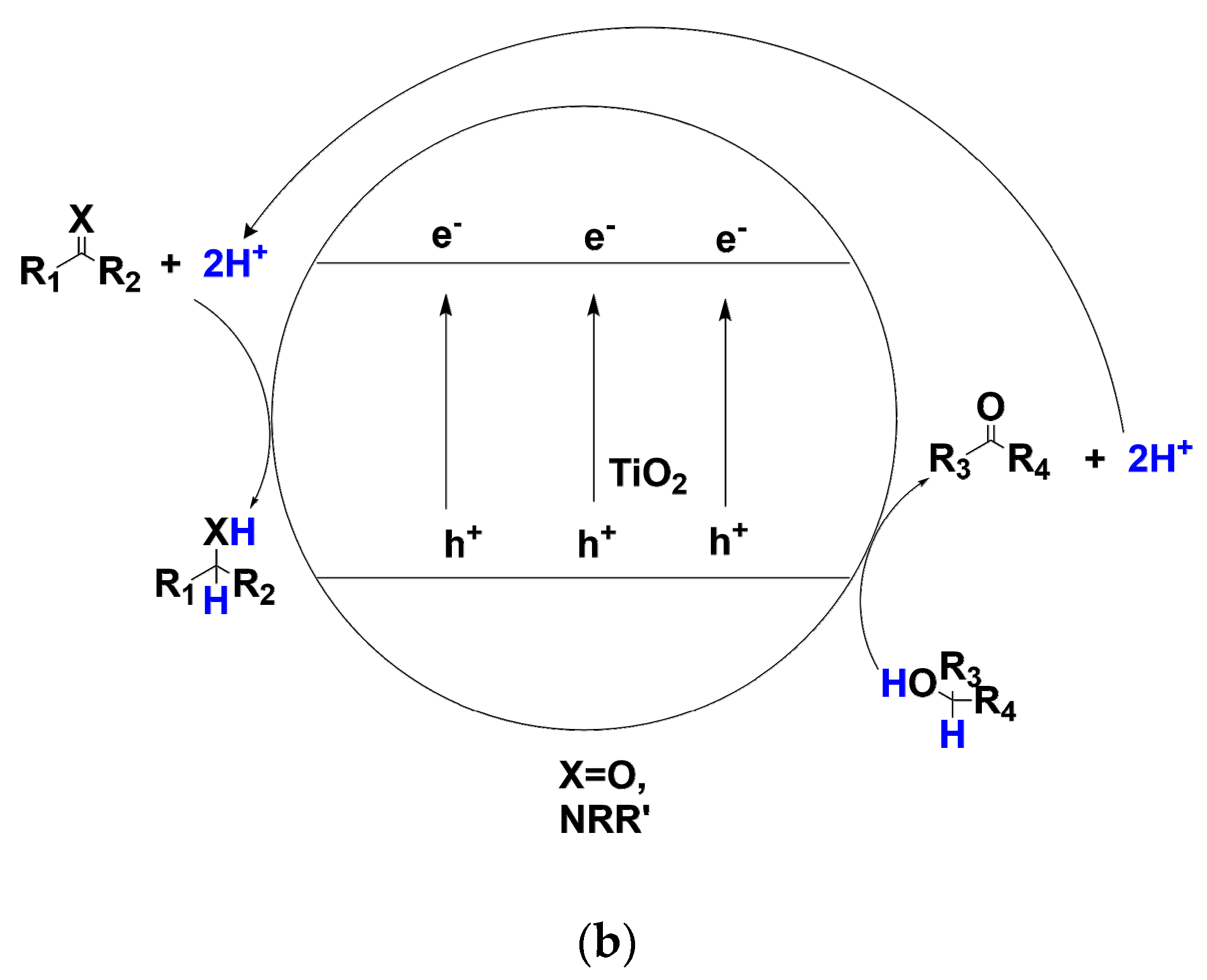 Molecules 24 00330 sch002b