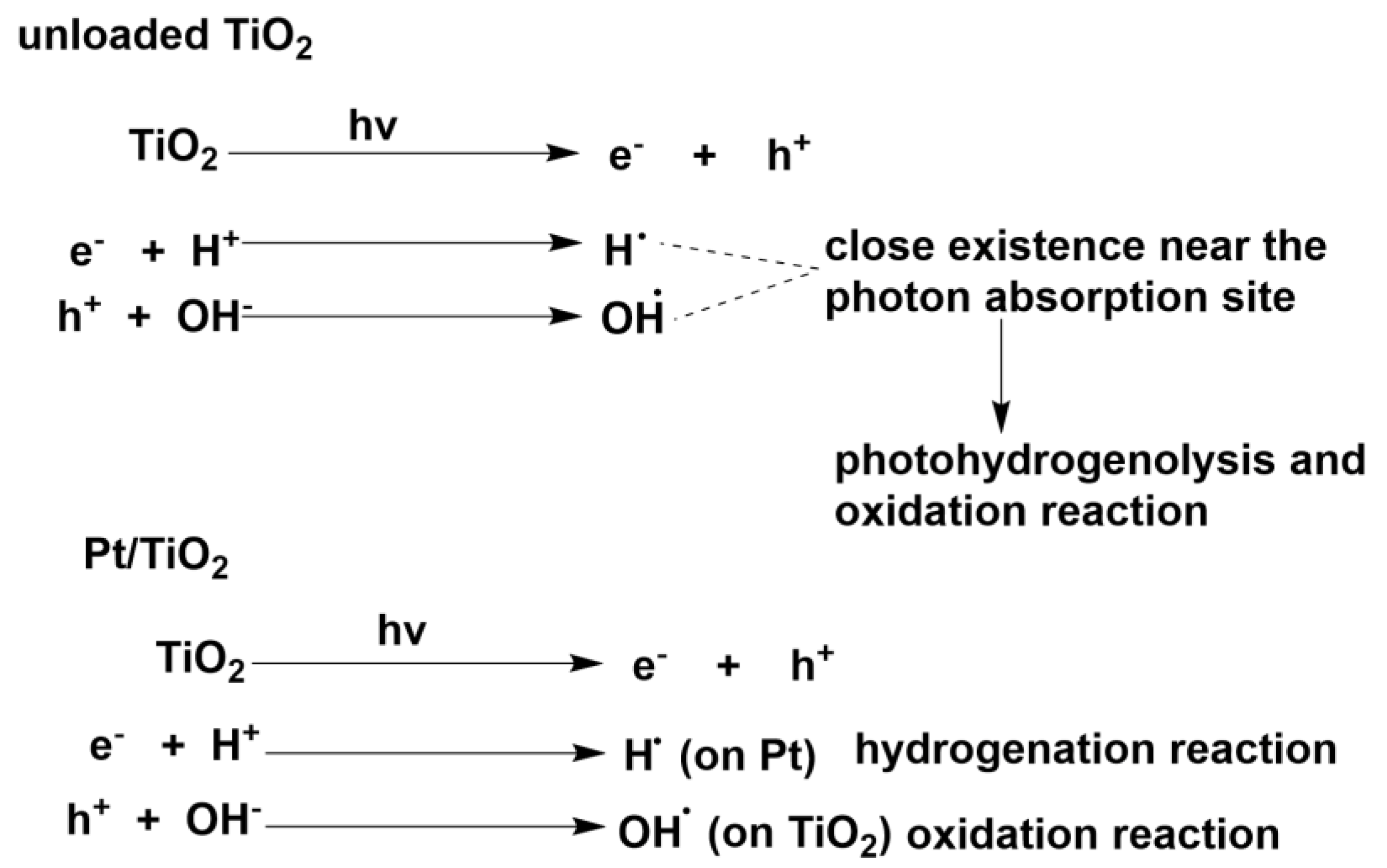Molecules 24 00330 sch004