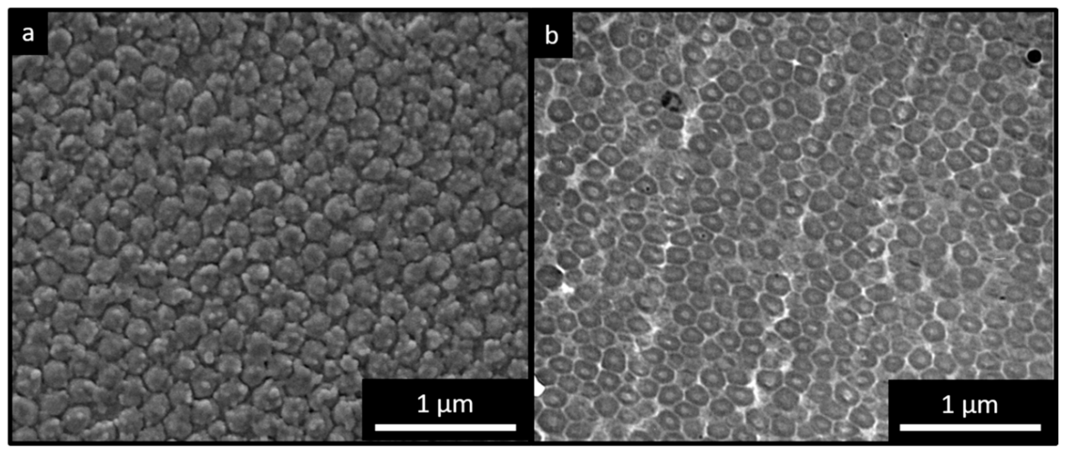 Molecules 24 00333 g004