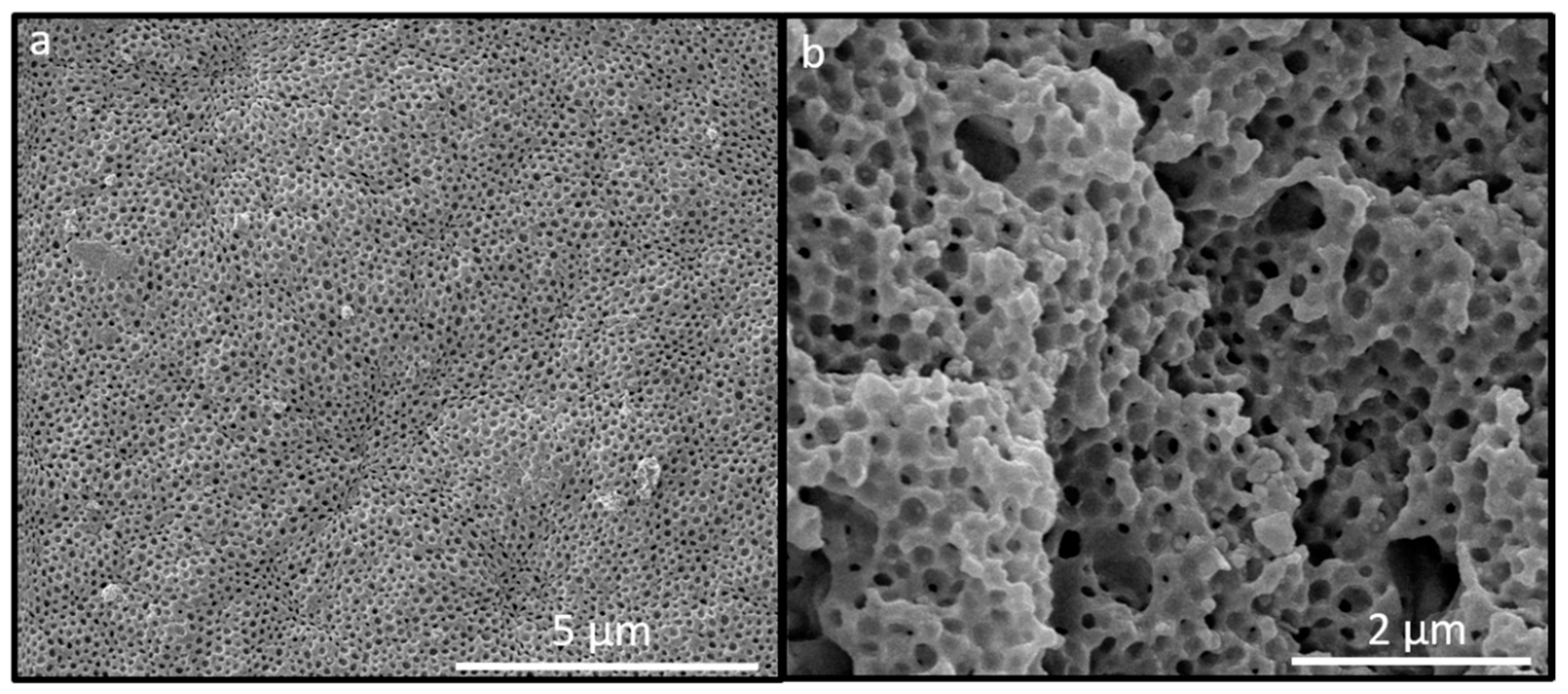 Molecules 24 00333 g008
