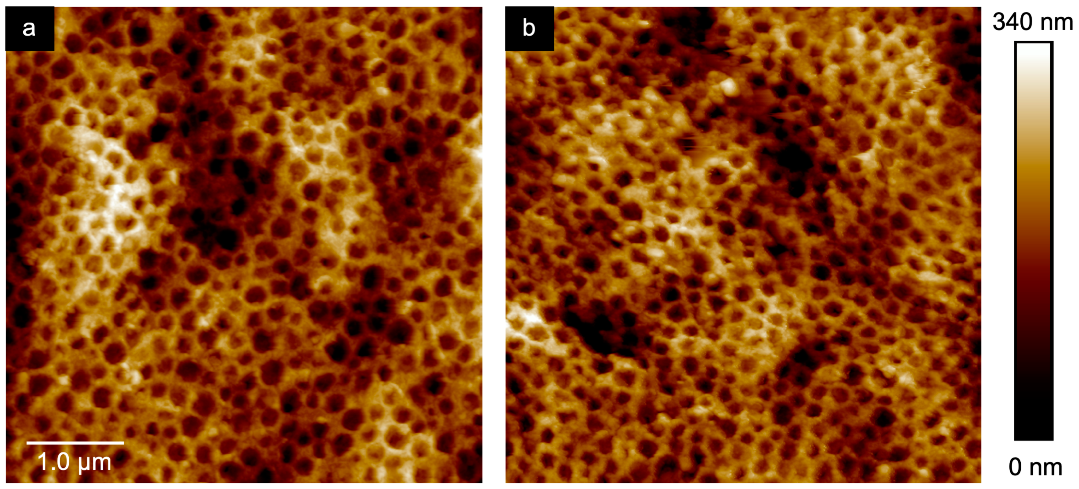 Molecules 24 00333 g009