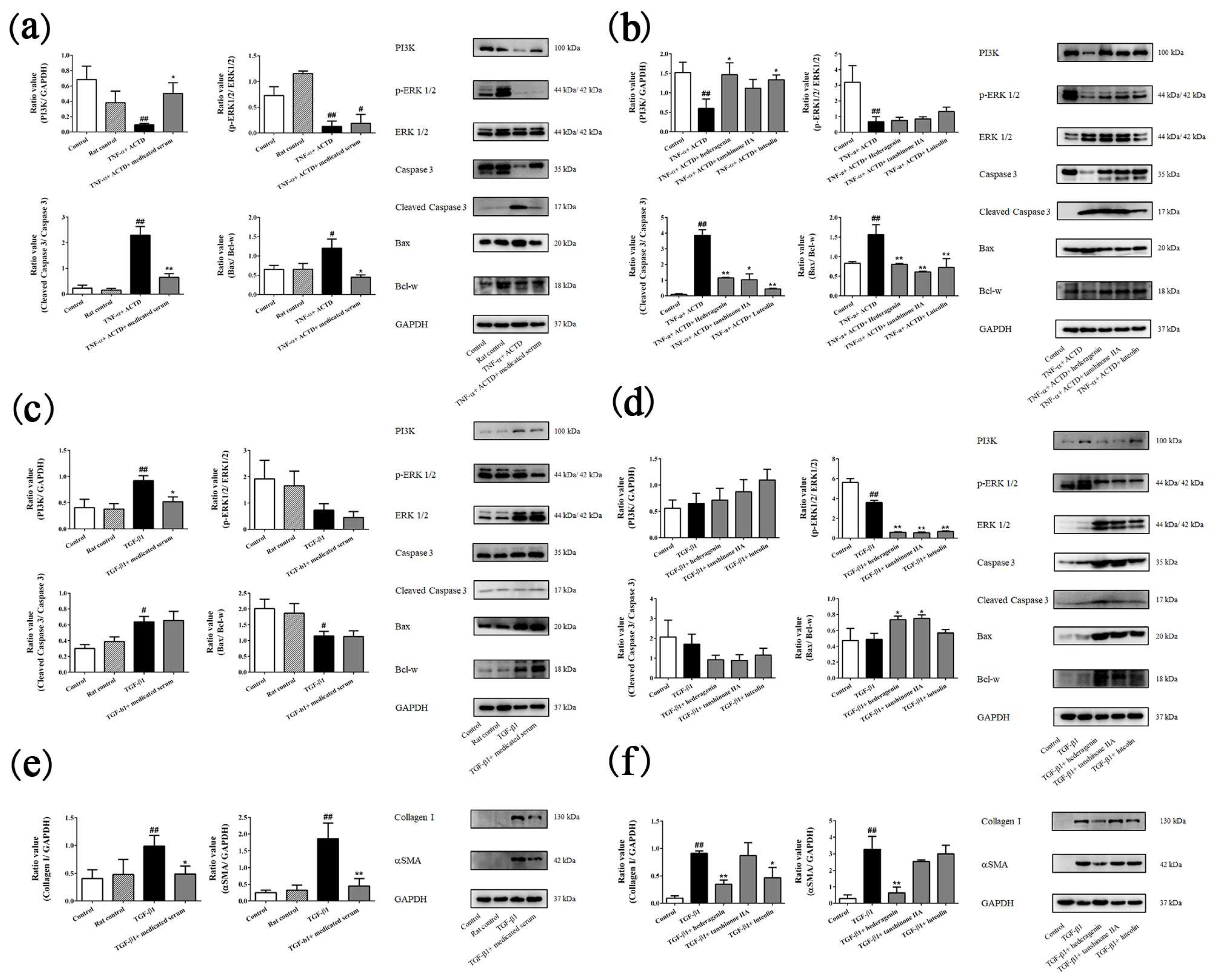 Molecules 24 00338 g005