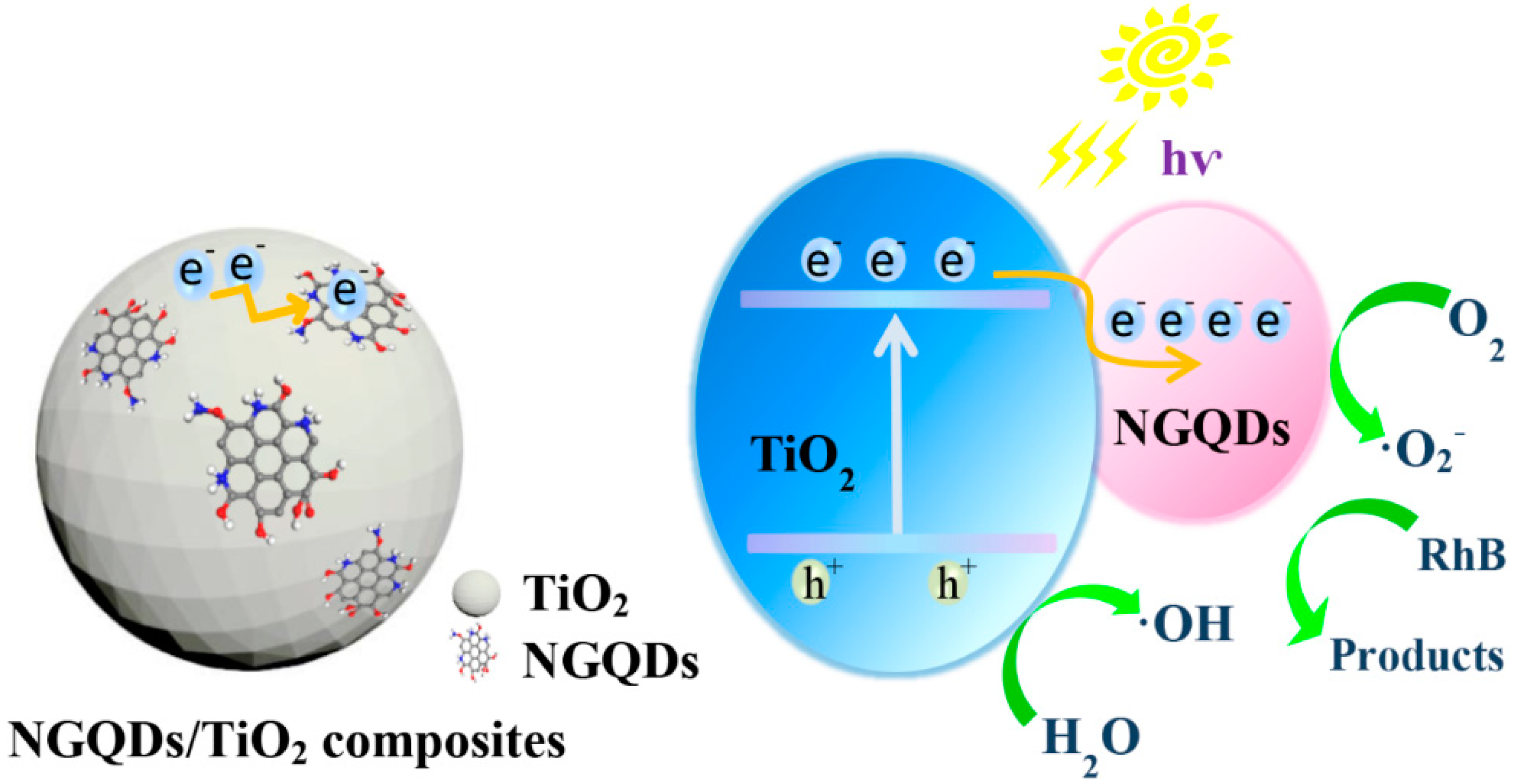 Molecules 24 00344 sch001