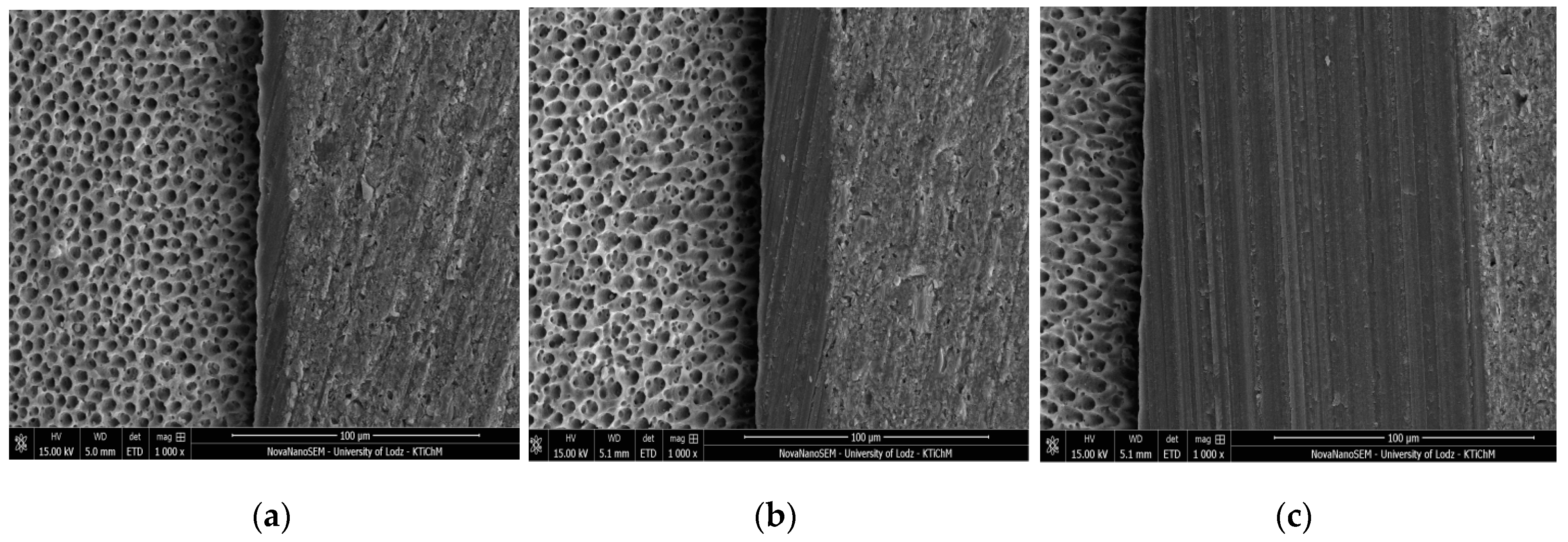 Molecules 24 00345 g001