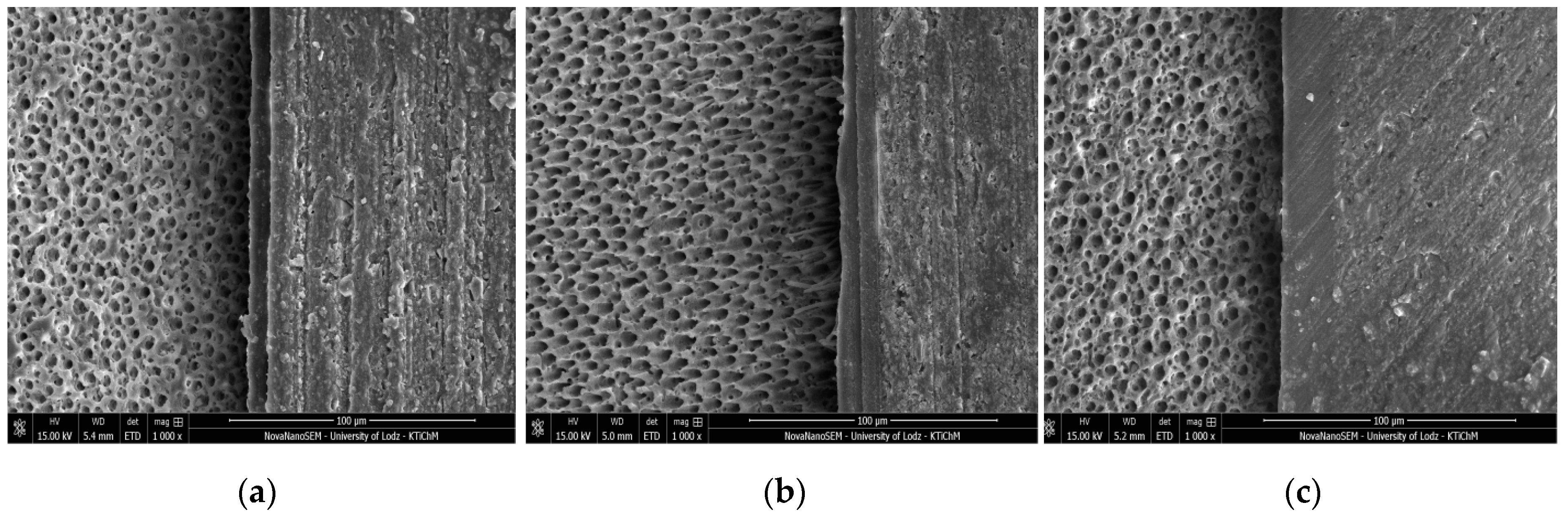 Molecules 24 00345 g002