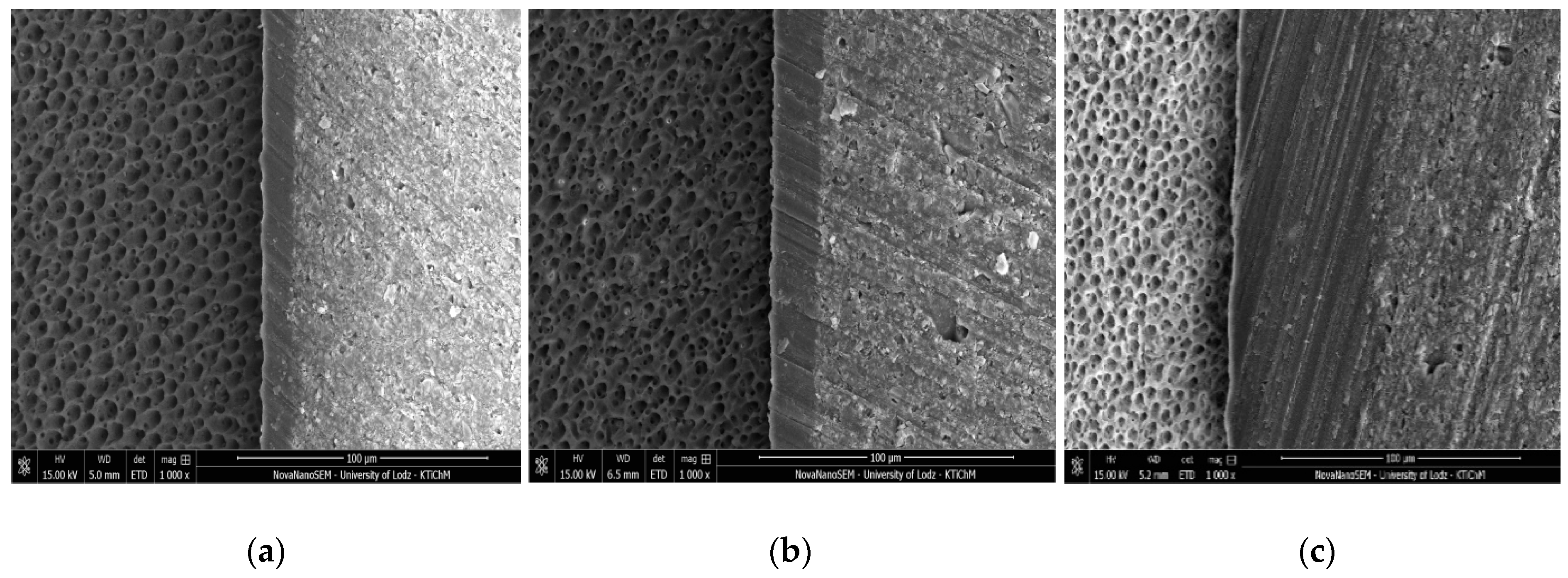 Molecules 24 00345 g003