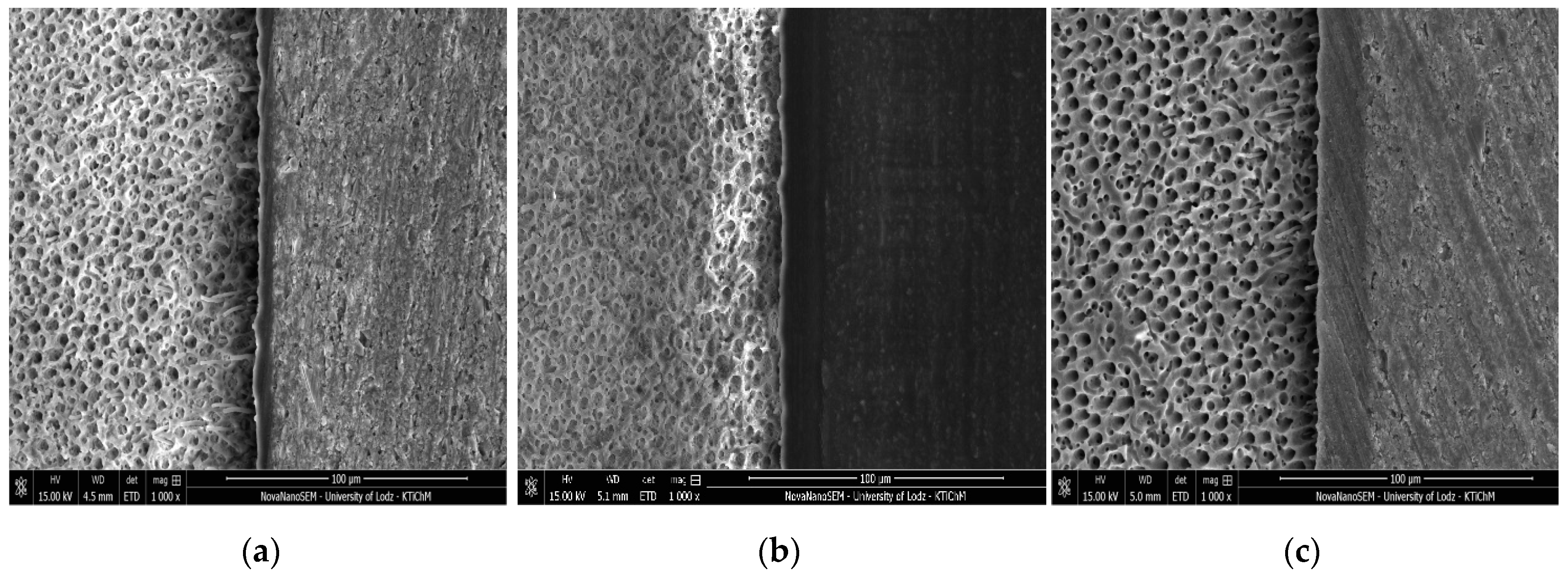 Molecules 24 00345 g004