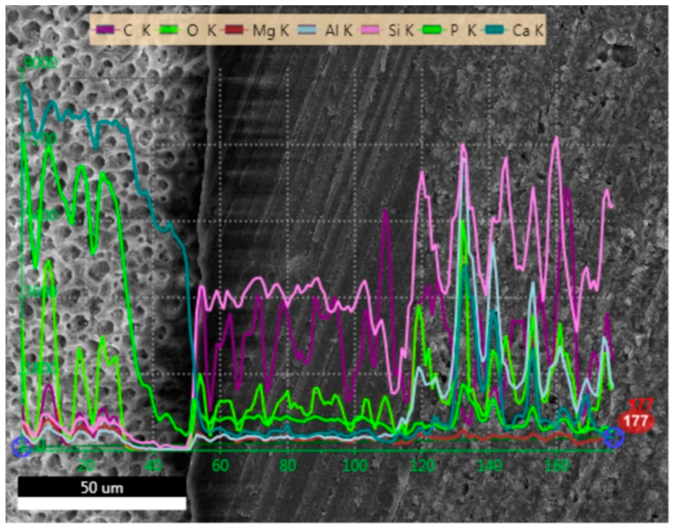 Molecules 24 00345 g007