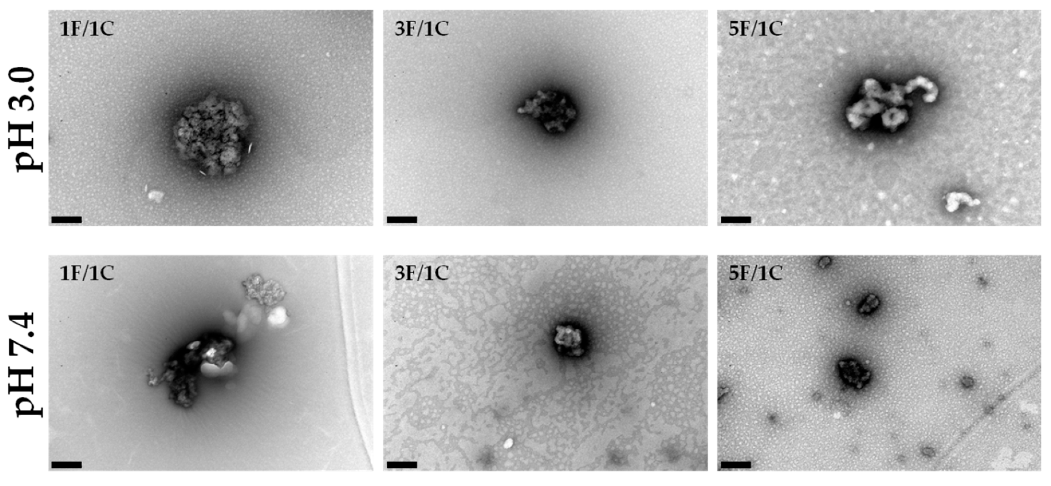 Molecules 24 00346 g002