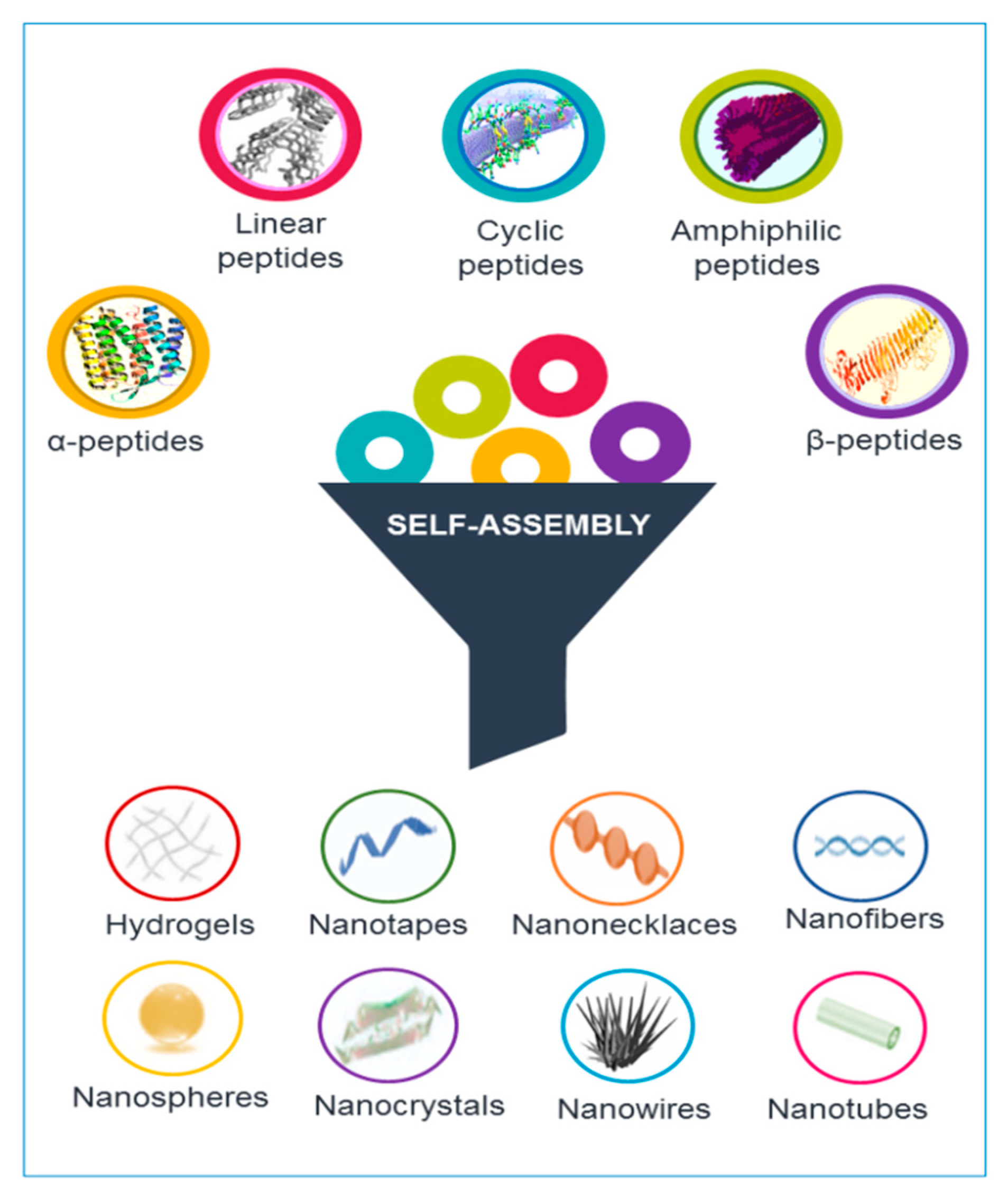 Molecules 24 00351 g001