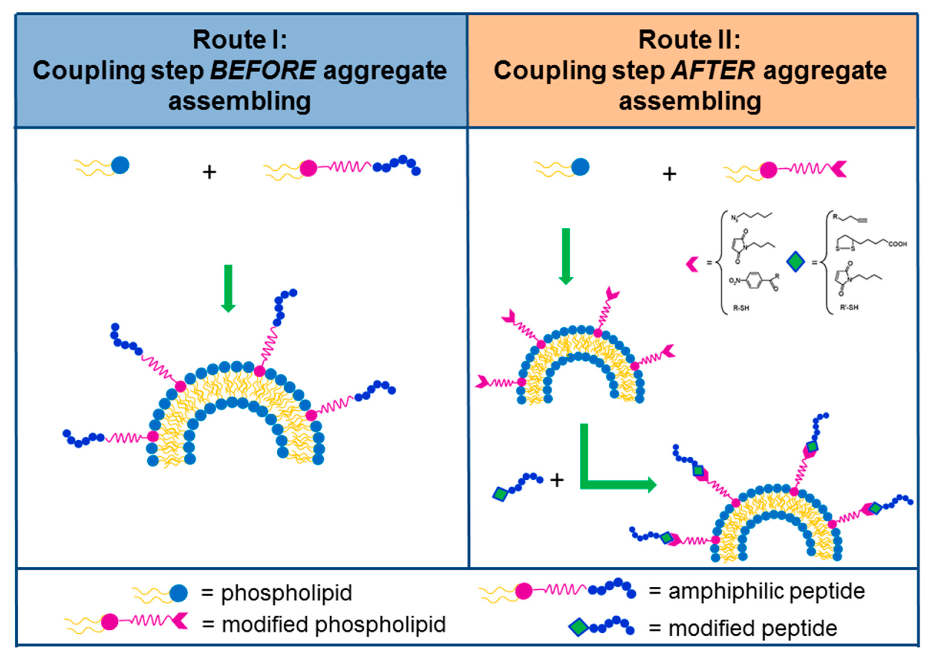 Molecules 24 00351 g003
