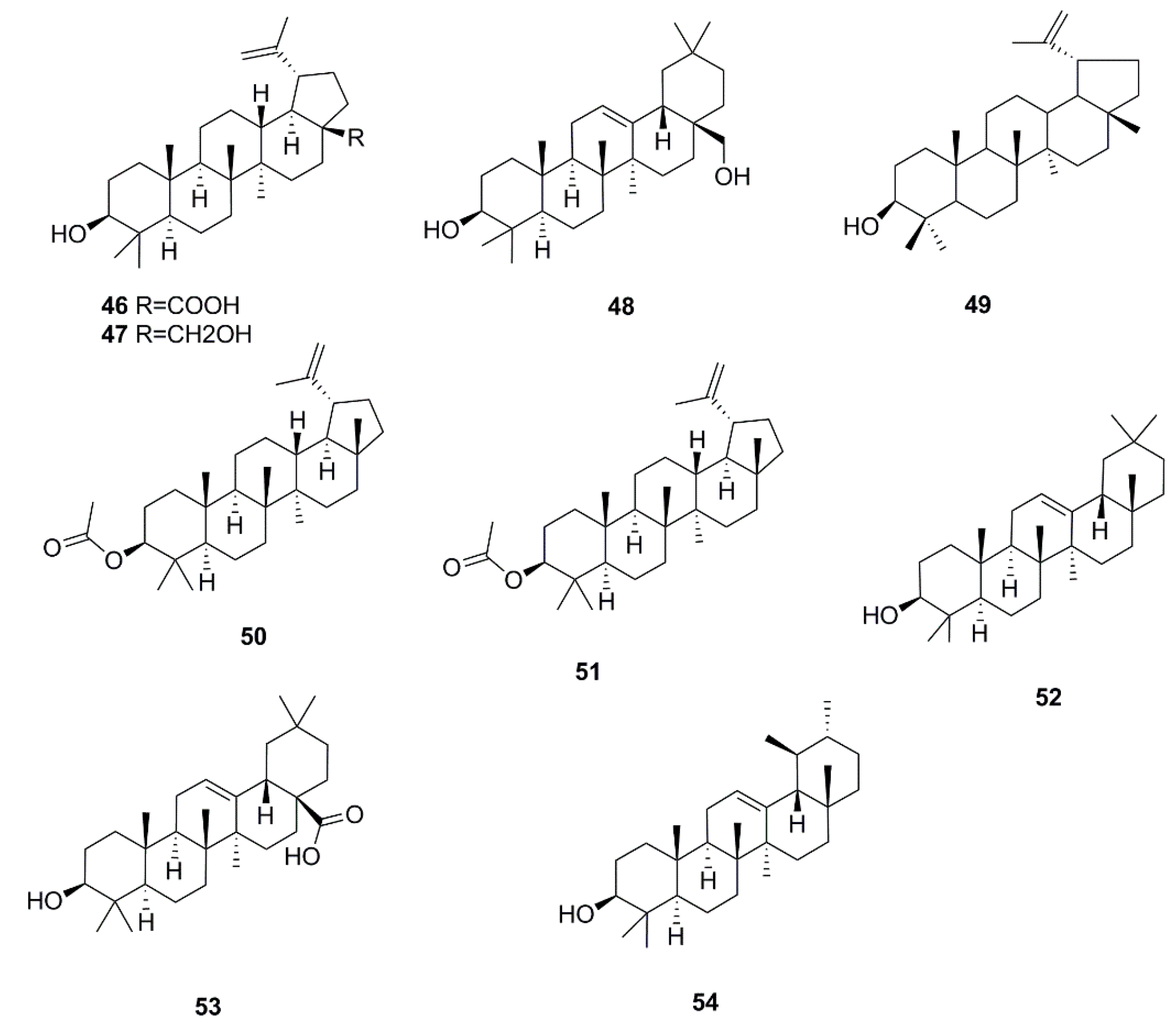 Molecules 24 00359 g003