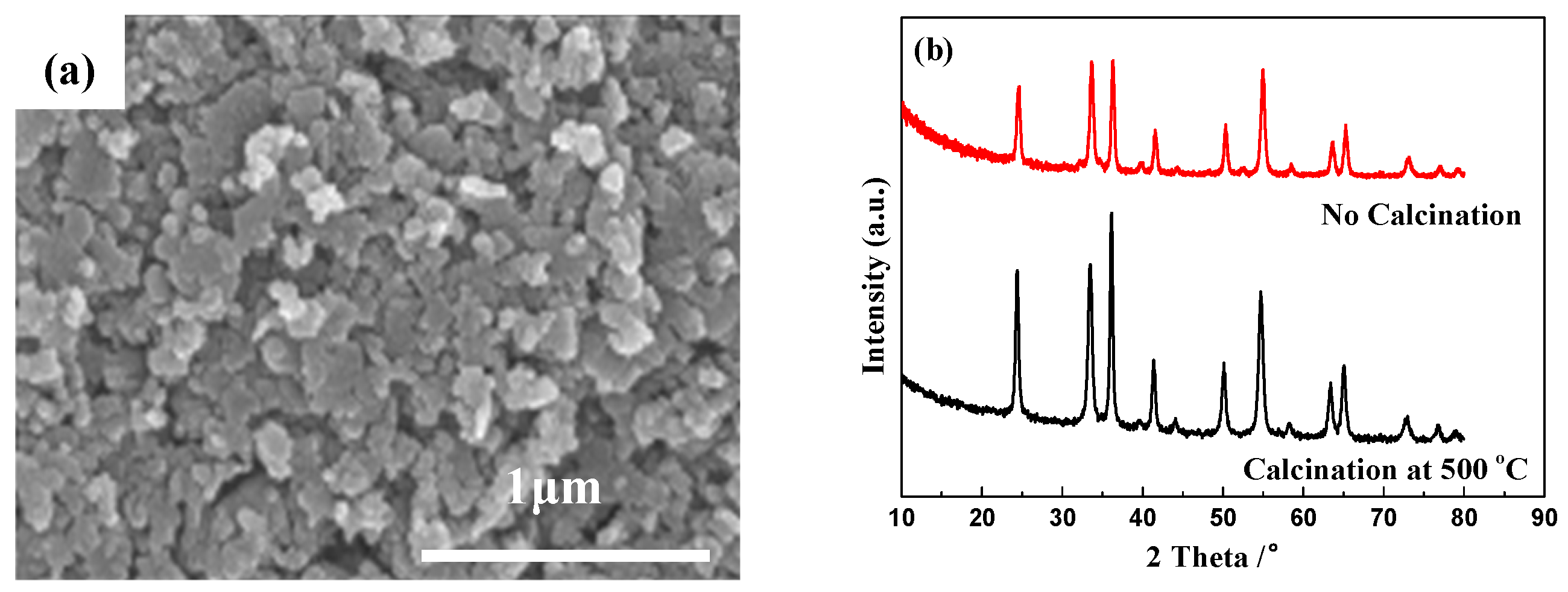 Molecules 24 00361 g007