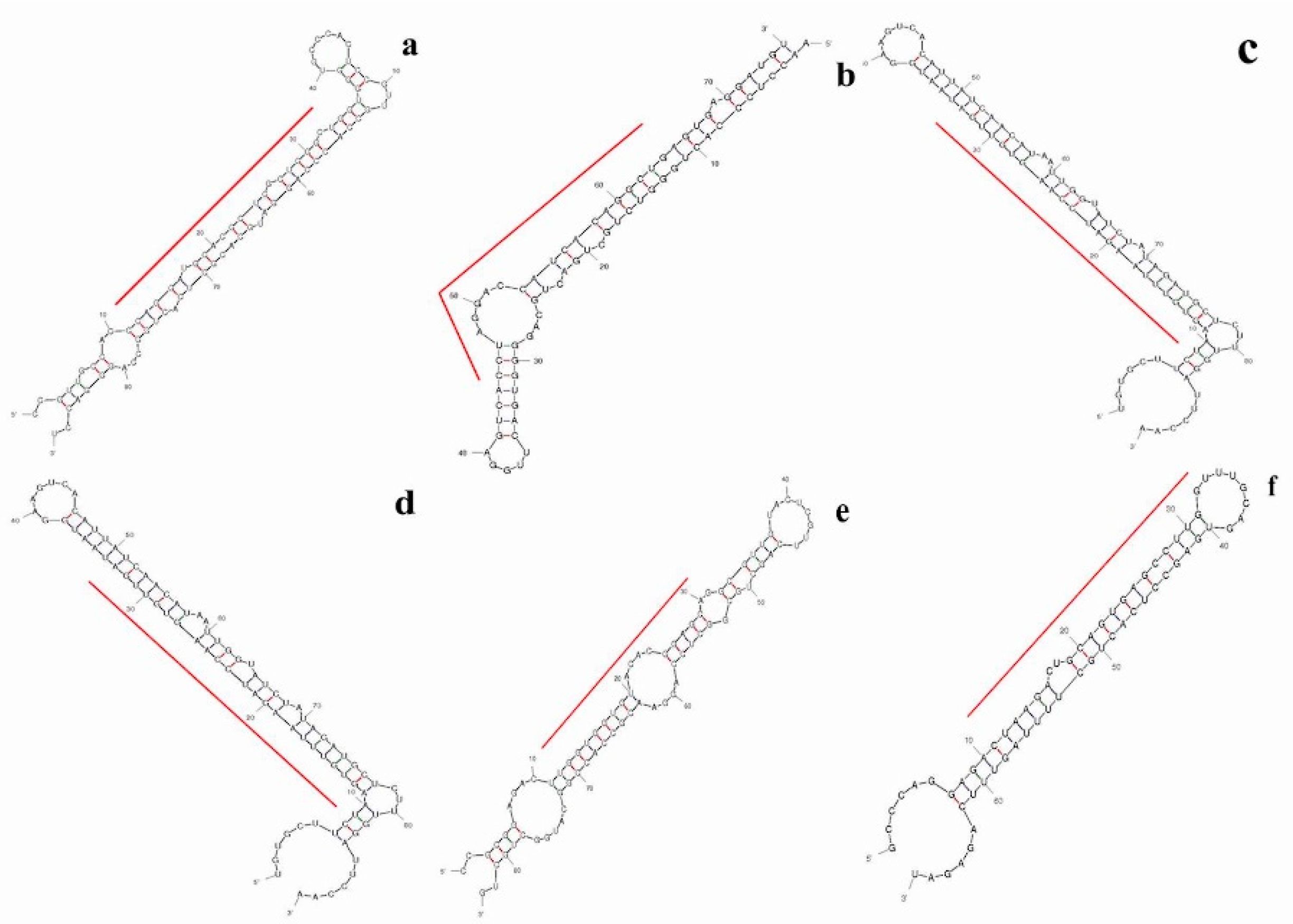 Molecules 24 00368 g004