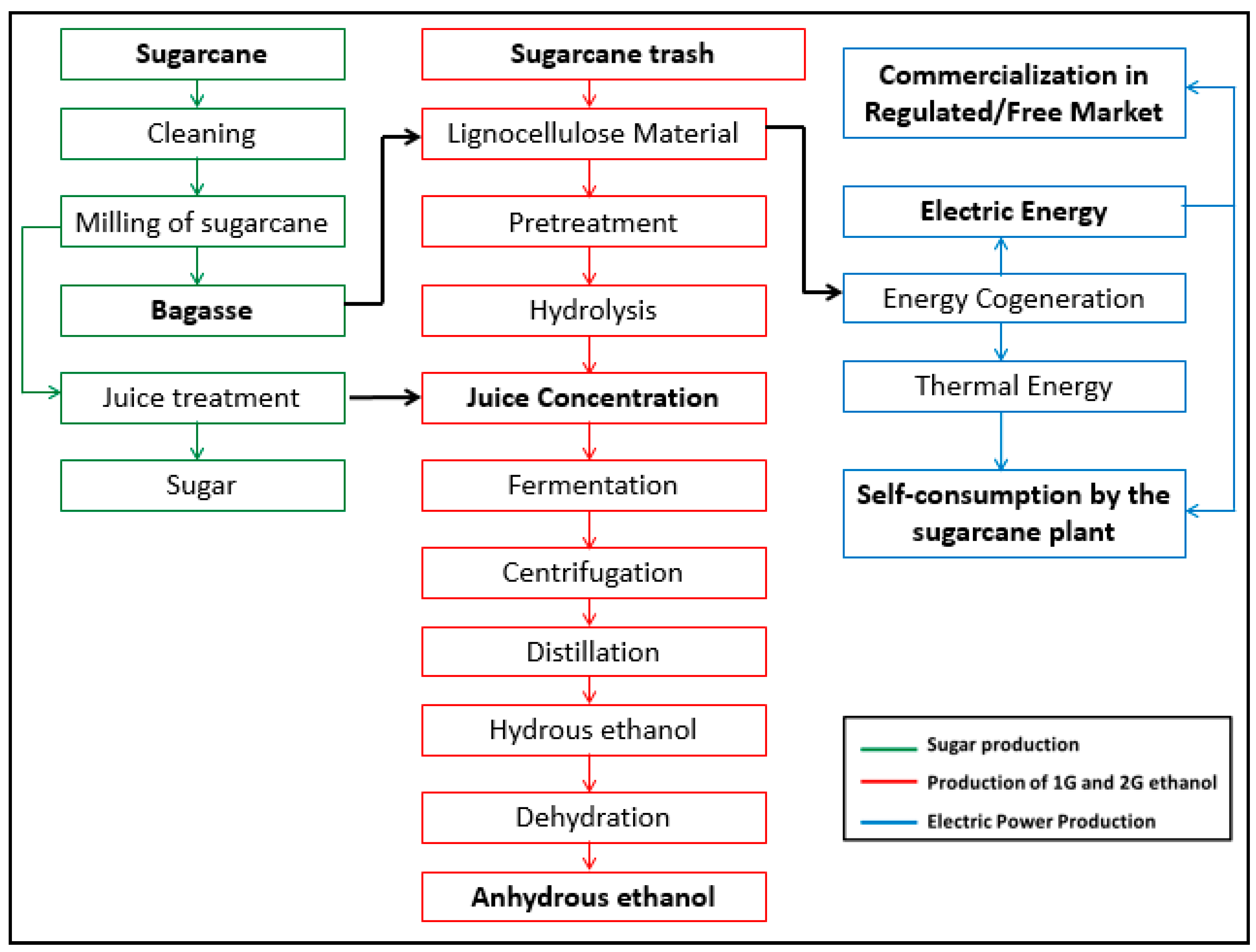 Molecules 24 00369 g001