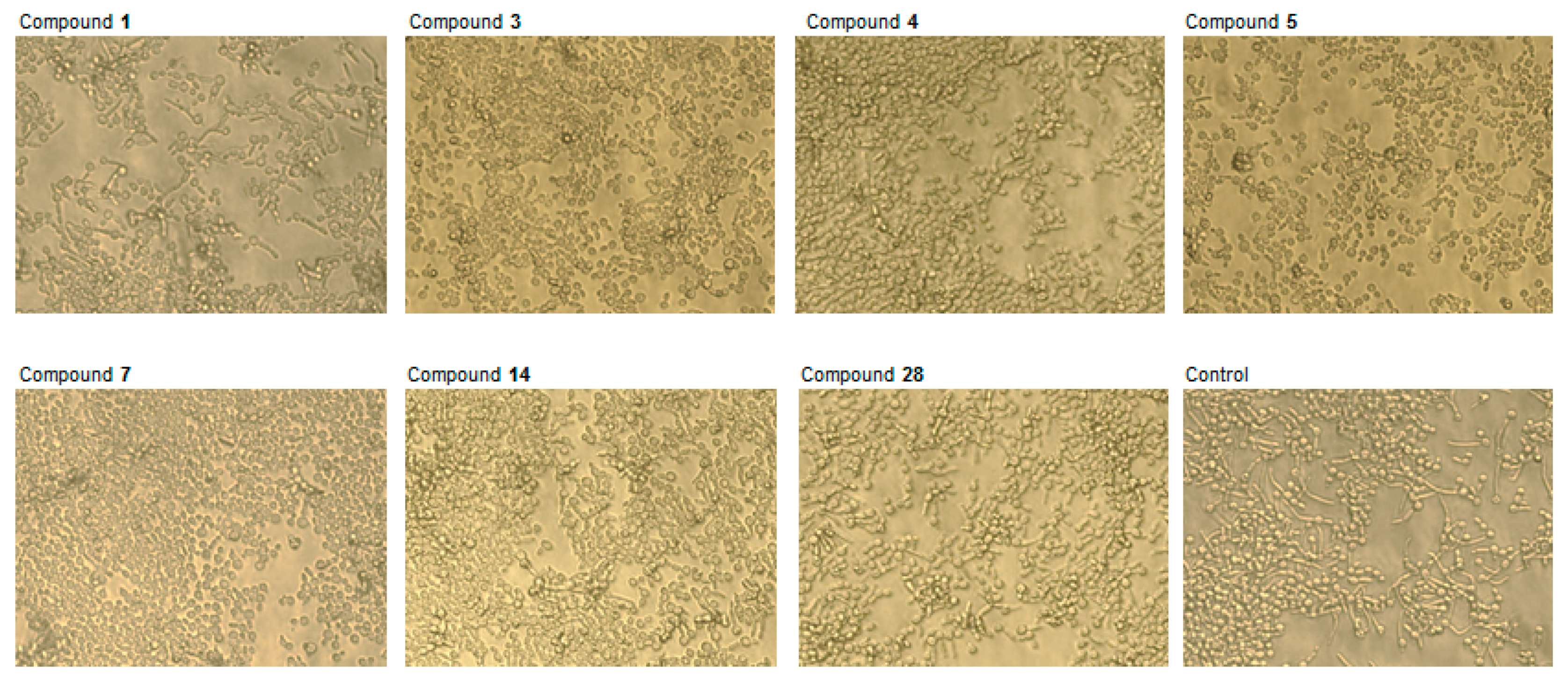 Molecules 24 00372 g003