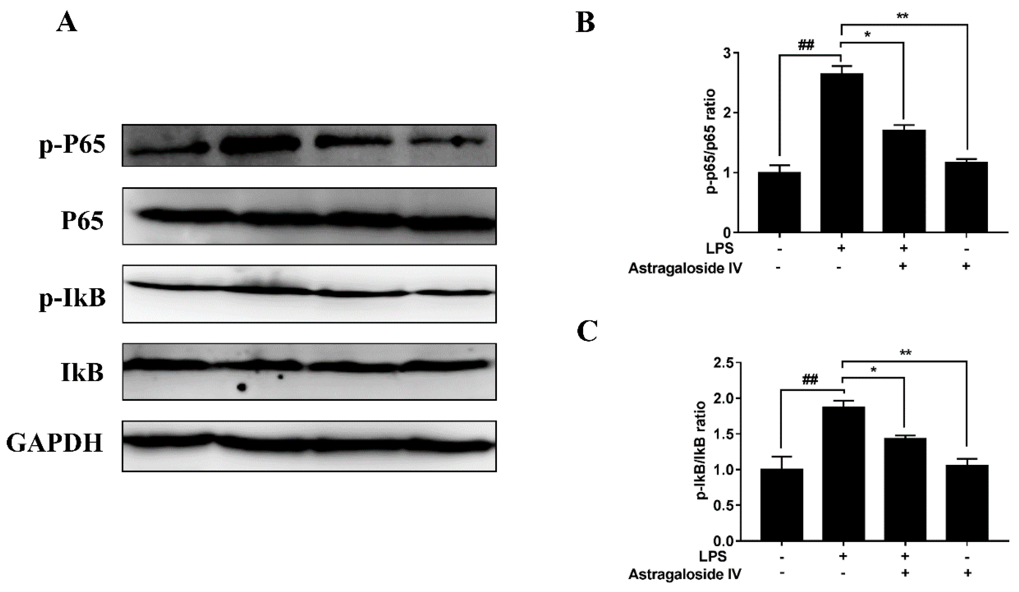 Molecules 24 00373 g008