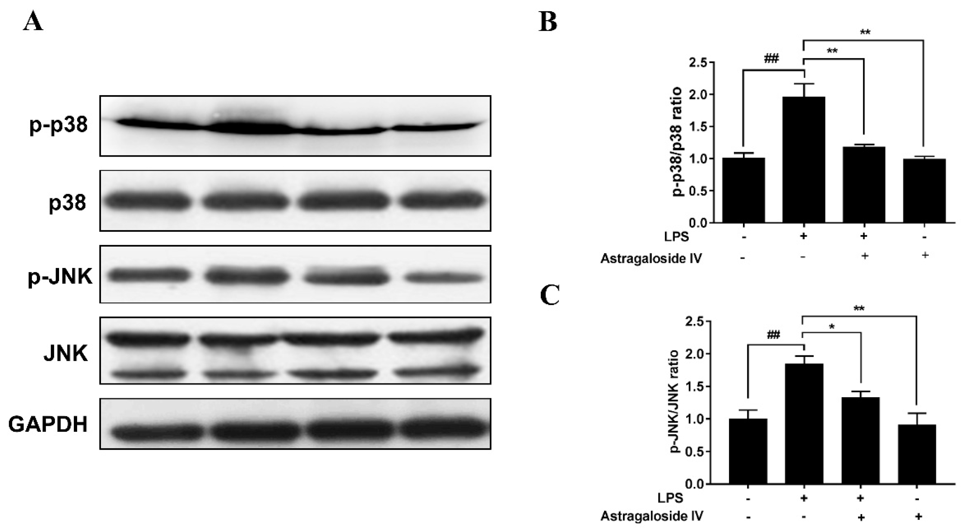 Molecules 24 00373 g009