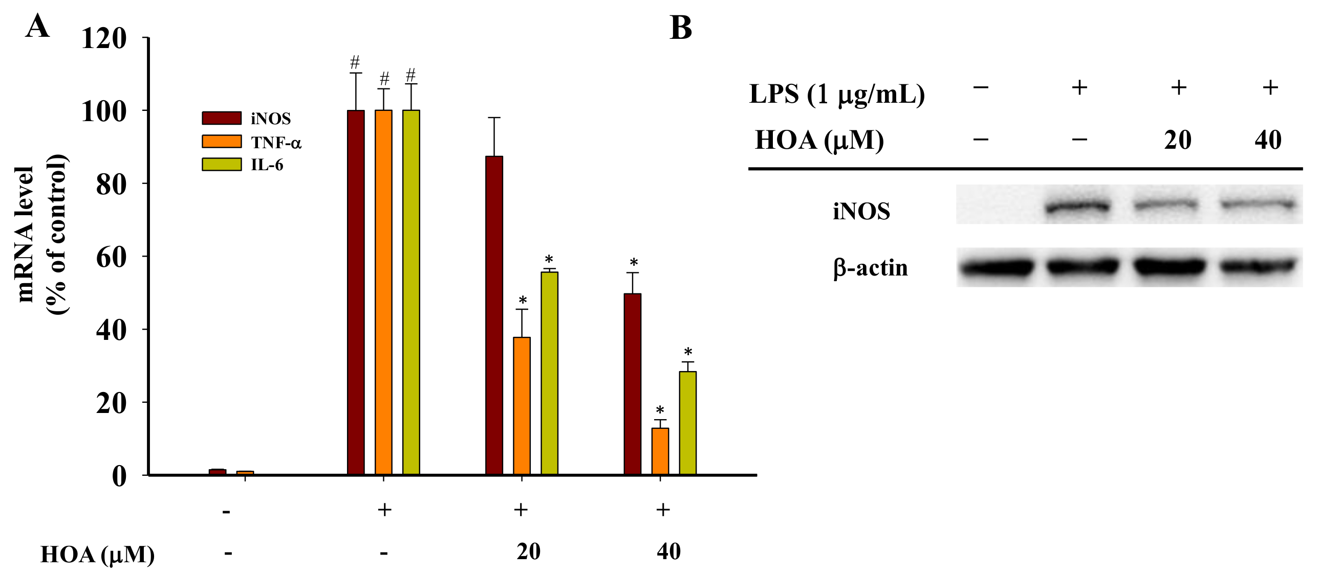 Molecules 24 00386 g004 Molecules 24 00386 g004