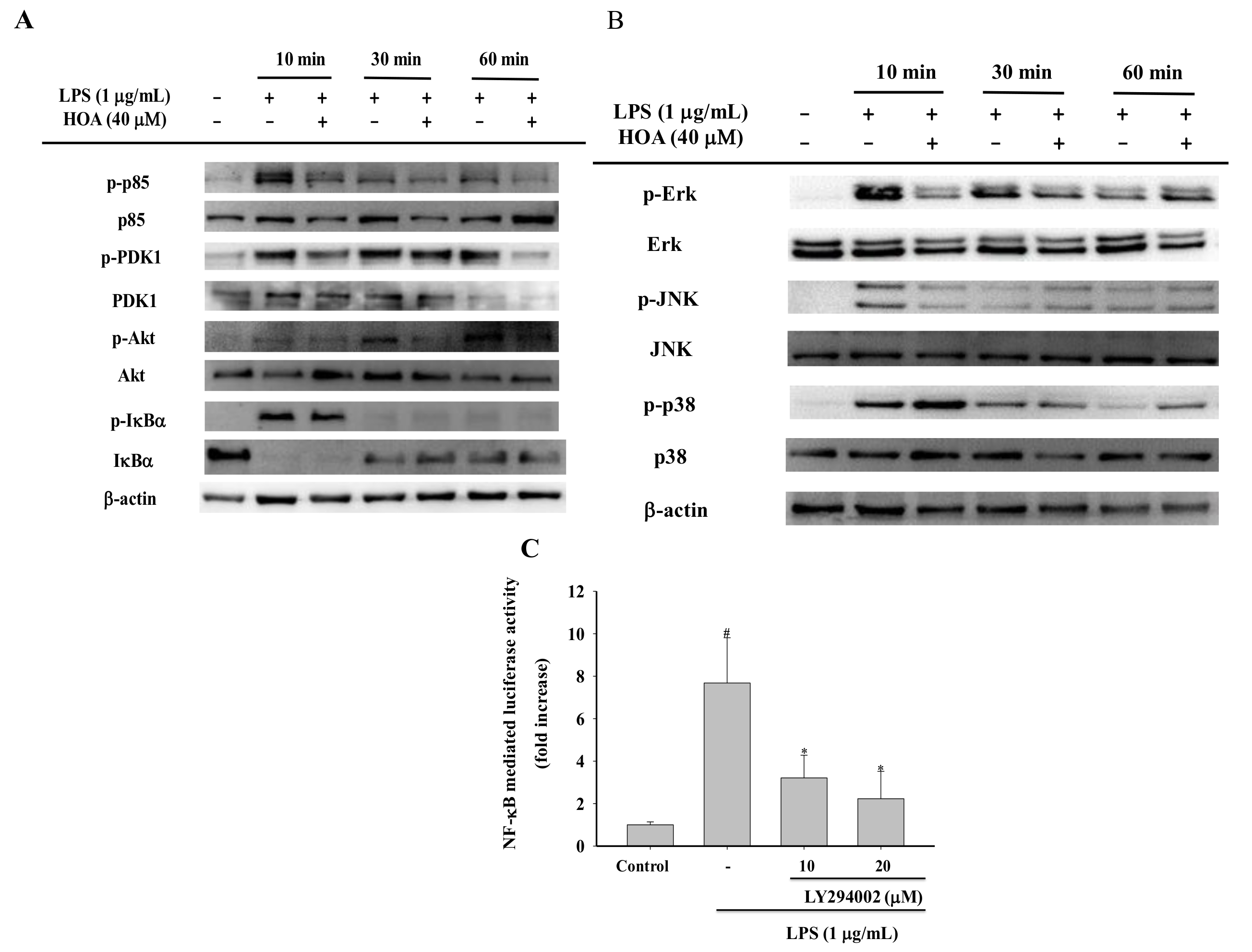 Molecules 24 00386 g006 Molecules 24 00386 g006
