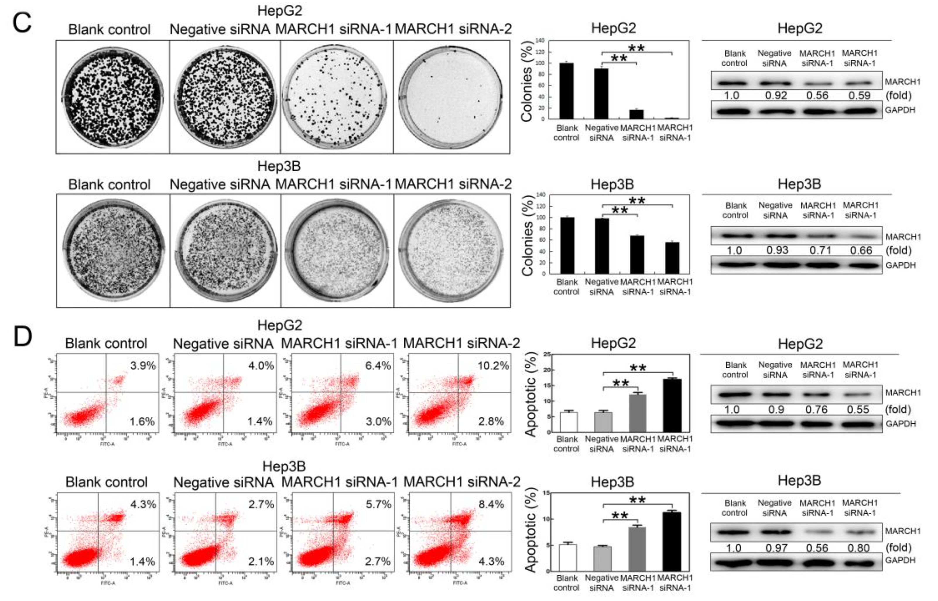 Molecules 24 00393 g002b