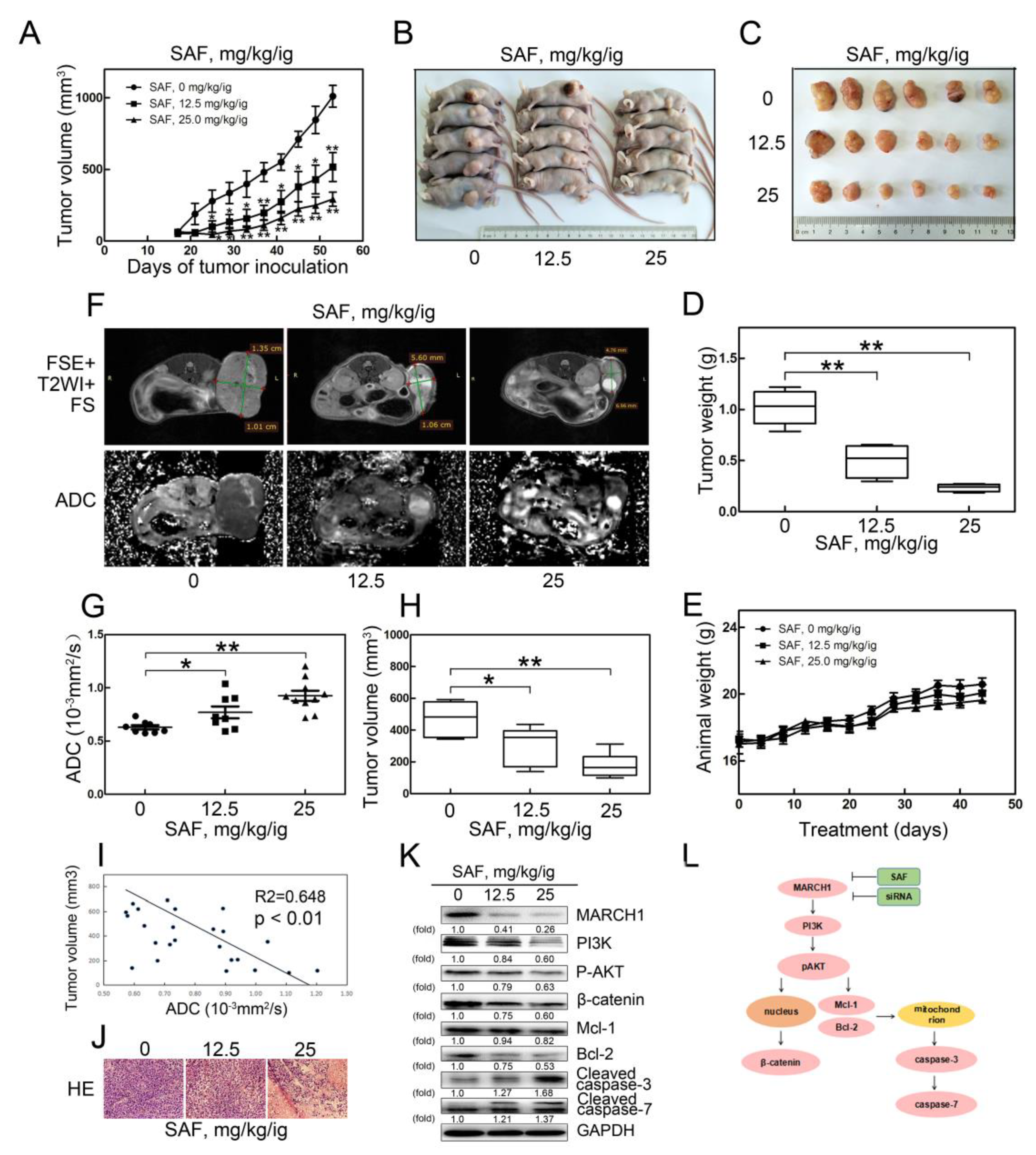 Molecules 24 00393 g006