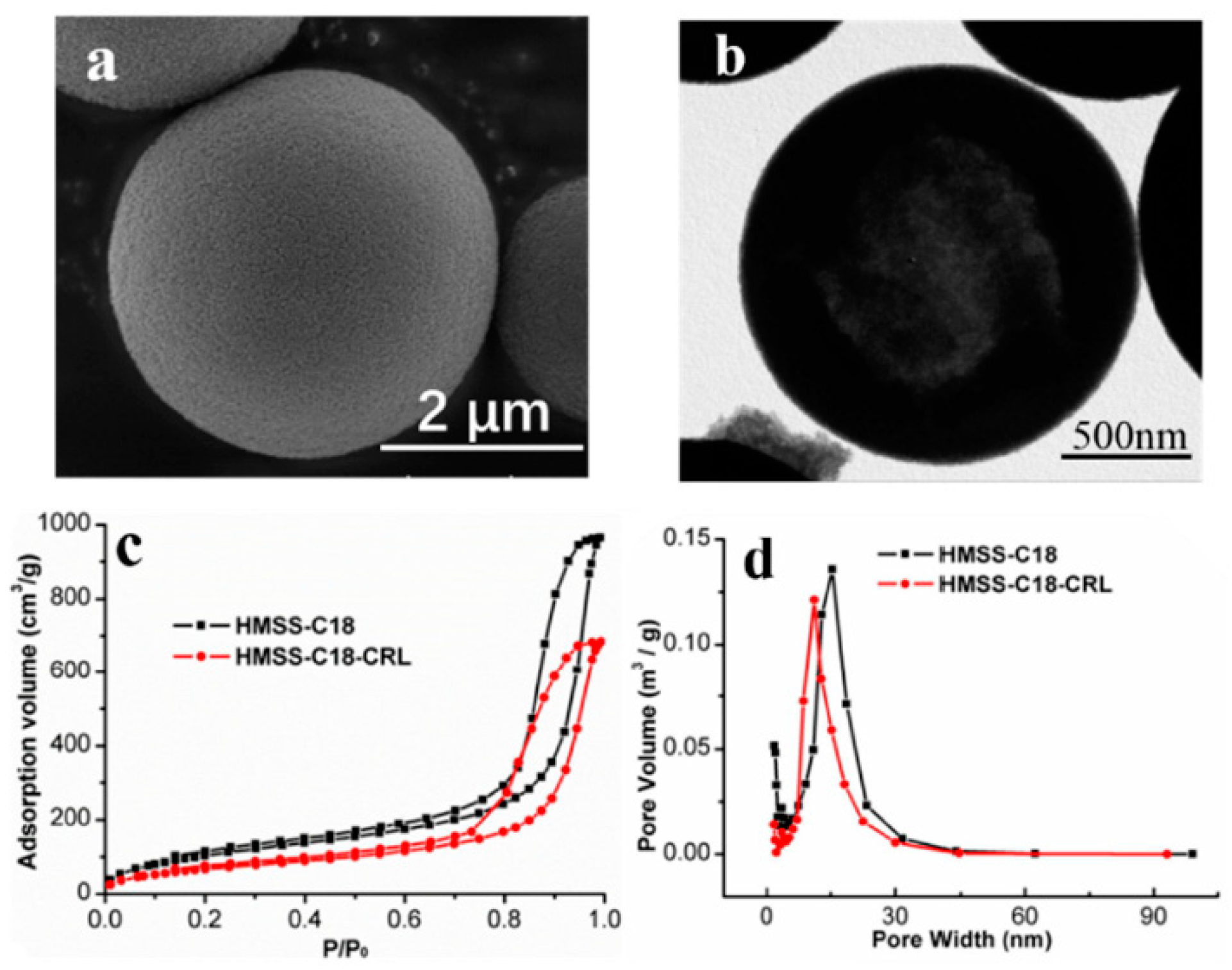 Molecules 24 00395 g001