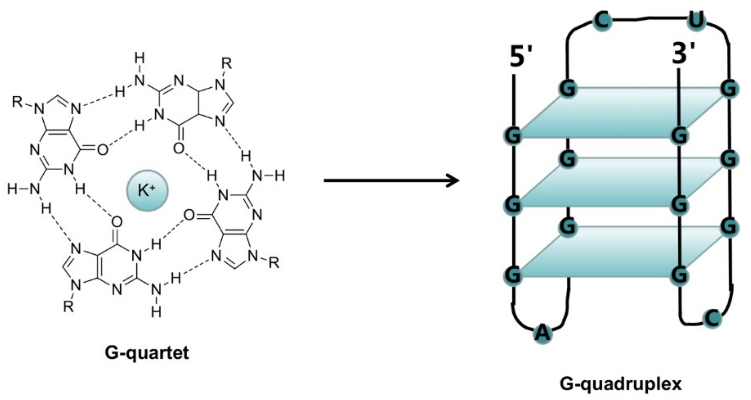 Molecules 24 00396 g001 Molecules 24 00396 g001