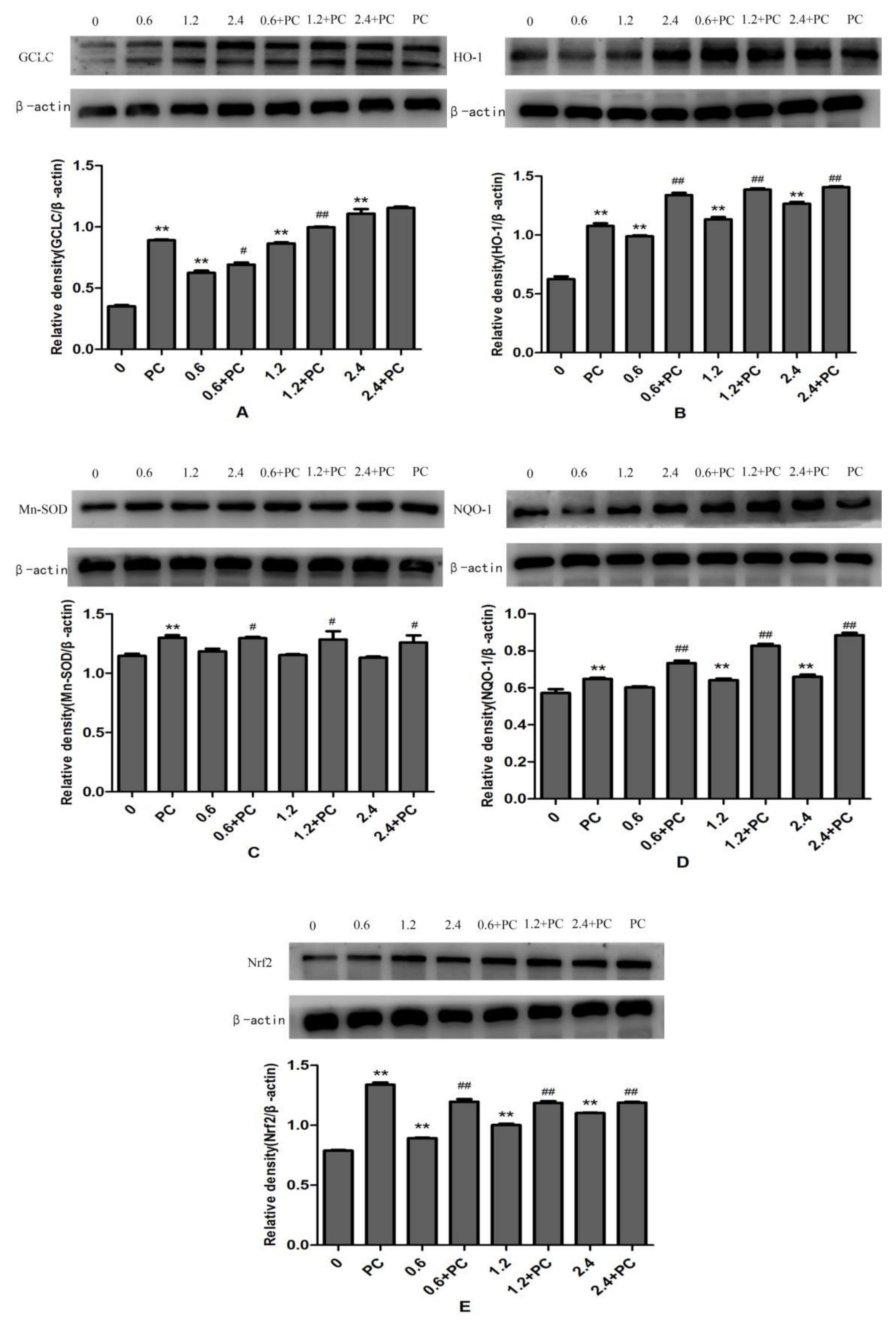Molecules 24 00400 g007