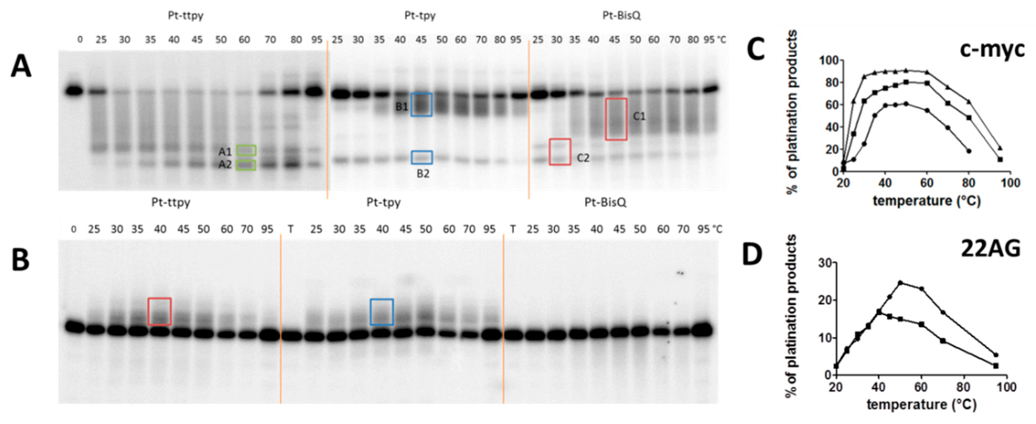 Molecules 24 00404 g002