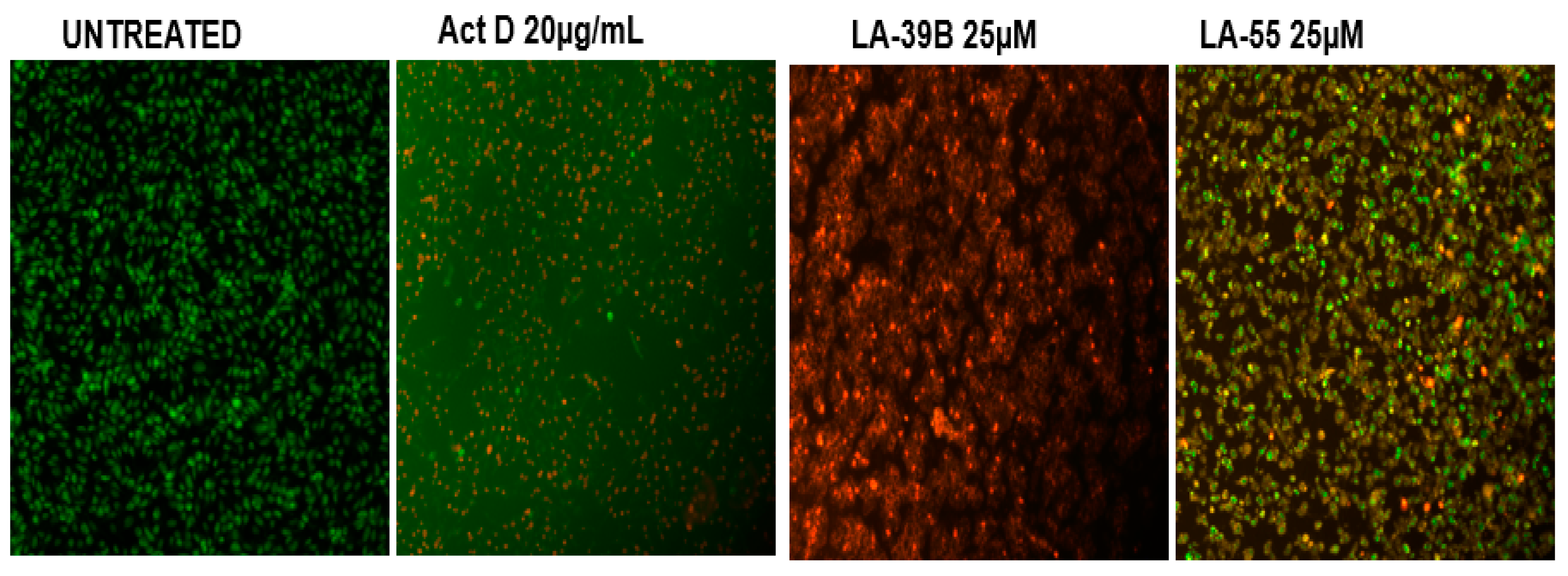 Molecules 24 00407 g014